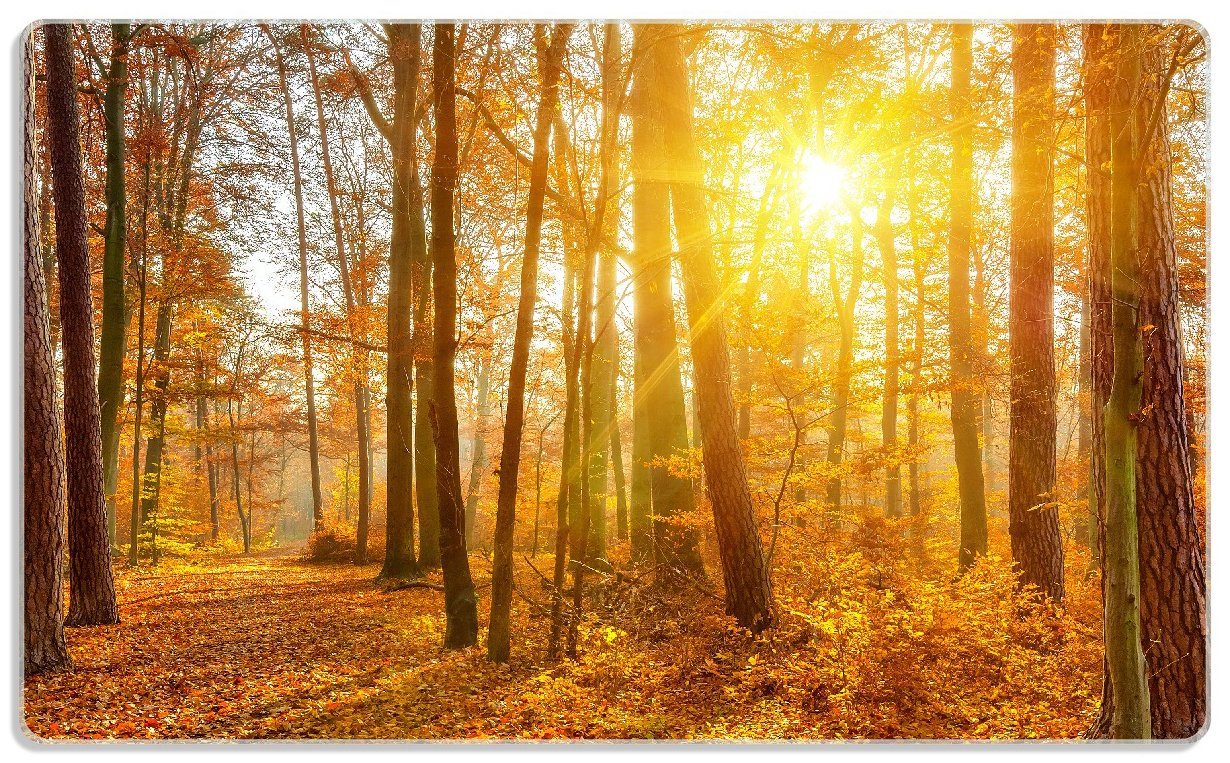 Wald, (inkl. ESG-Sicherheitsglas, im rutschfester Wallario Sonnenuntergang Gummifüße Frühstücksbrett 14x23cm 1-St), herbstlichen 4mm,