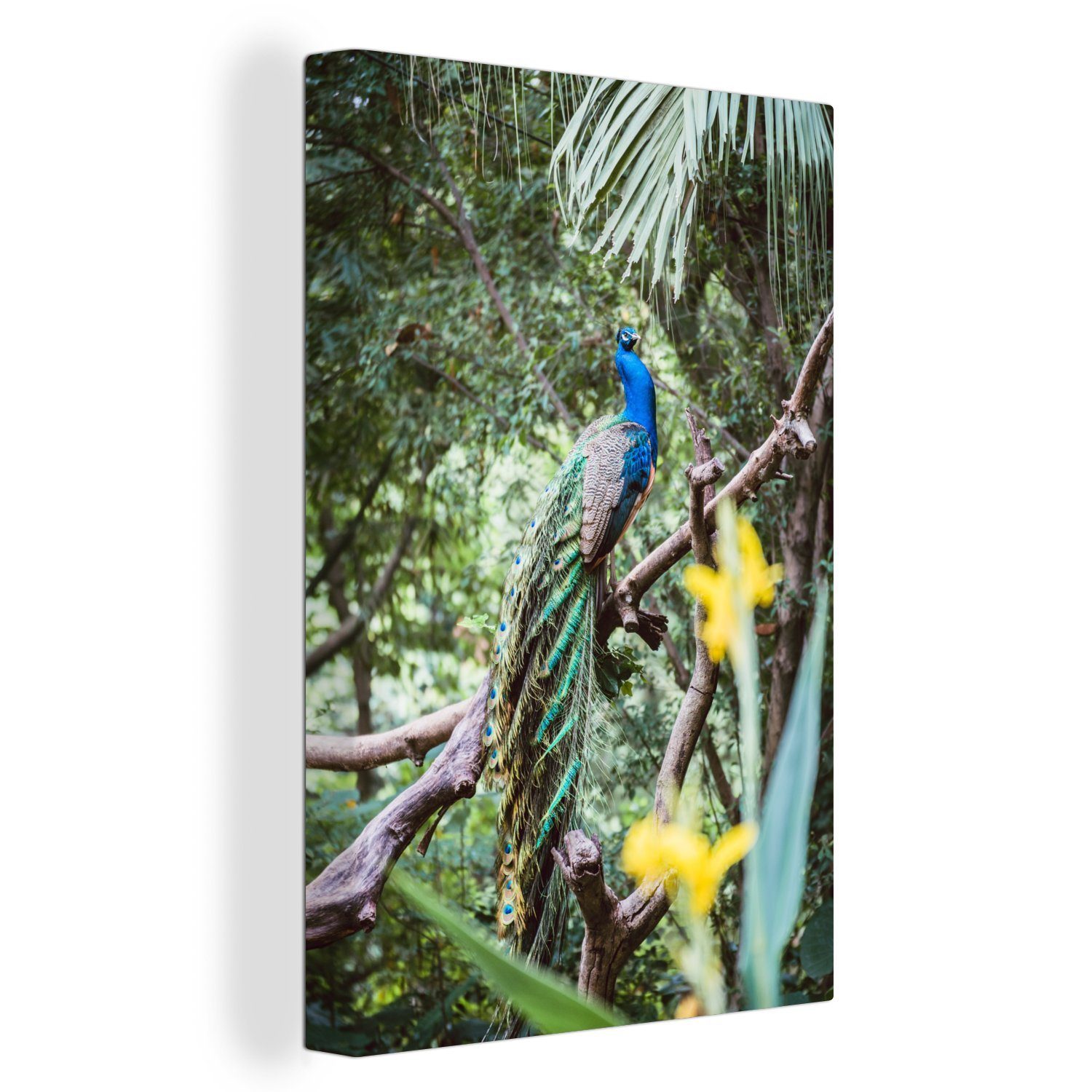 OneMillionCanvasses® Leinwandbild Pfau - Blau - Wald, (1 St), Leinwandbild fertig bespannt inkl. Zackenaufhänger, Gemälde, 20x30 cm