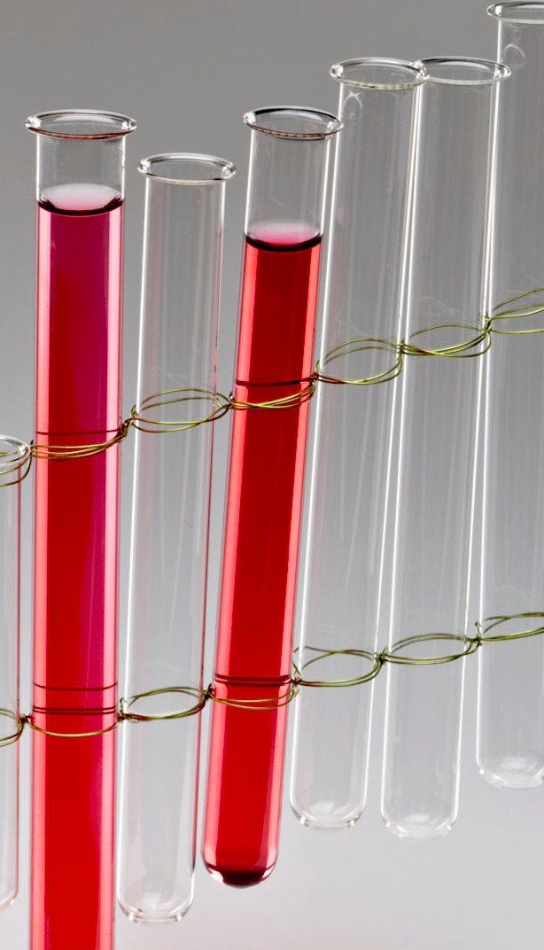 Sandra Rich Dekovase TEST TUBES