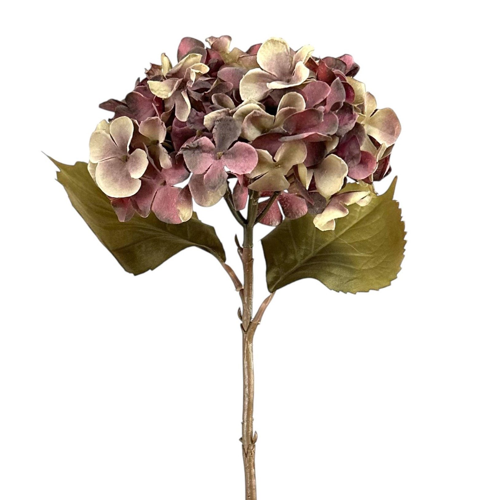 Kunstblume Kunstblume HORTENSIE 46cm. In Trockenblumenoptik. Aubergine Lila günstig online kaufen