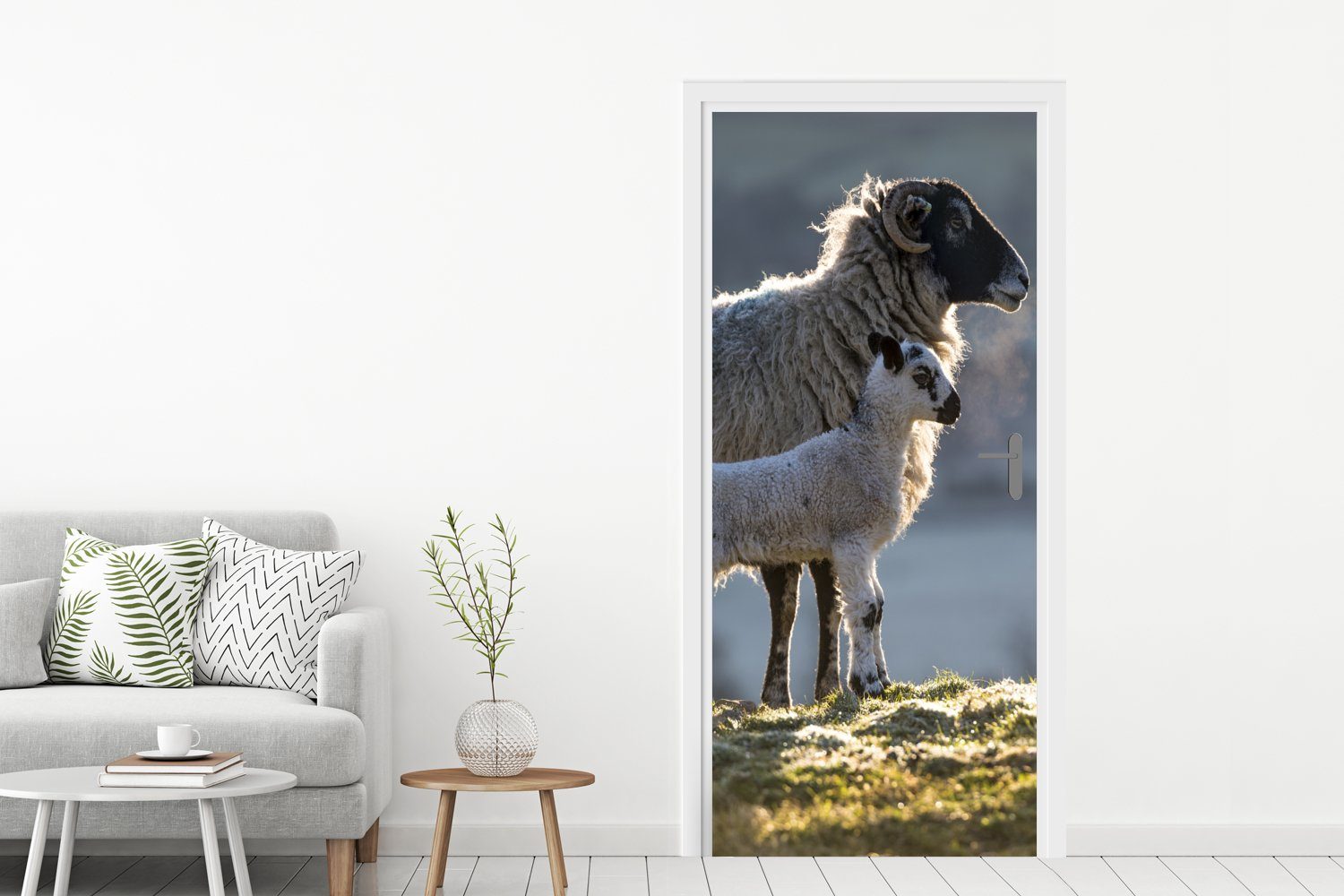 Lamm bedruckt, Türaufkleber, cm MuchoWow Sonne, - Matt, 75x205 Fototapete St), - Tür, für (1 Türtapete Schaf
