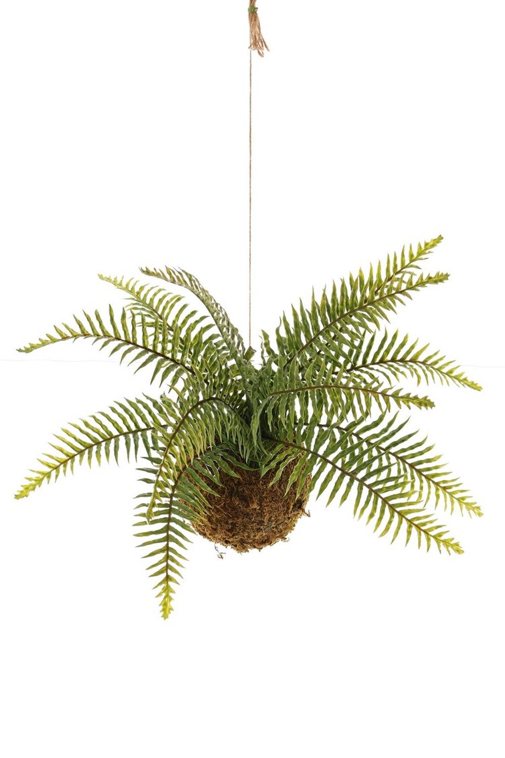 Künstliche Zimmerpflanze Königsfarn künstlich ADRATEA auf Moosball, grün, 35cm, Ø50cm Farn (Königsfarn), artplants, Höhe 35.0 cm