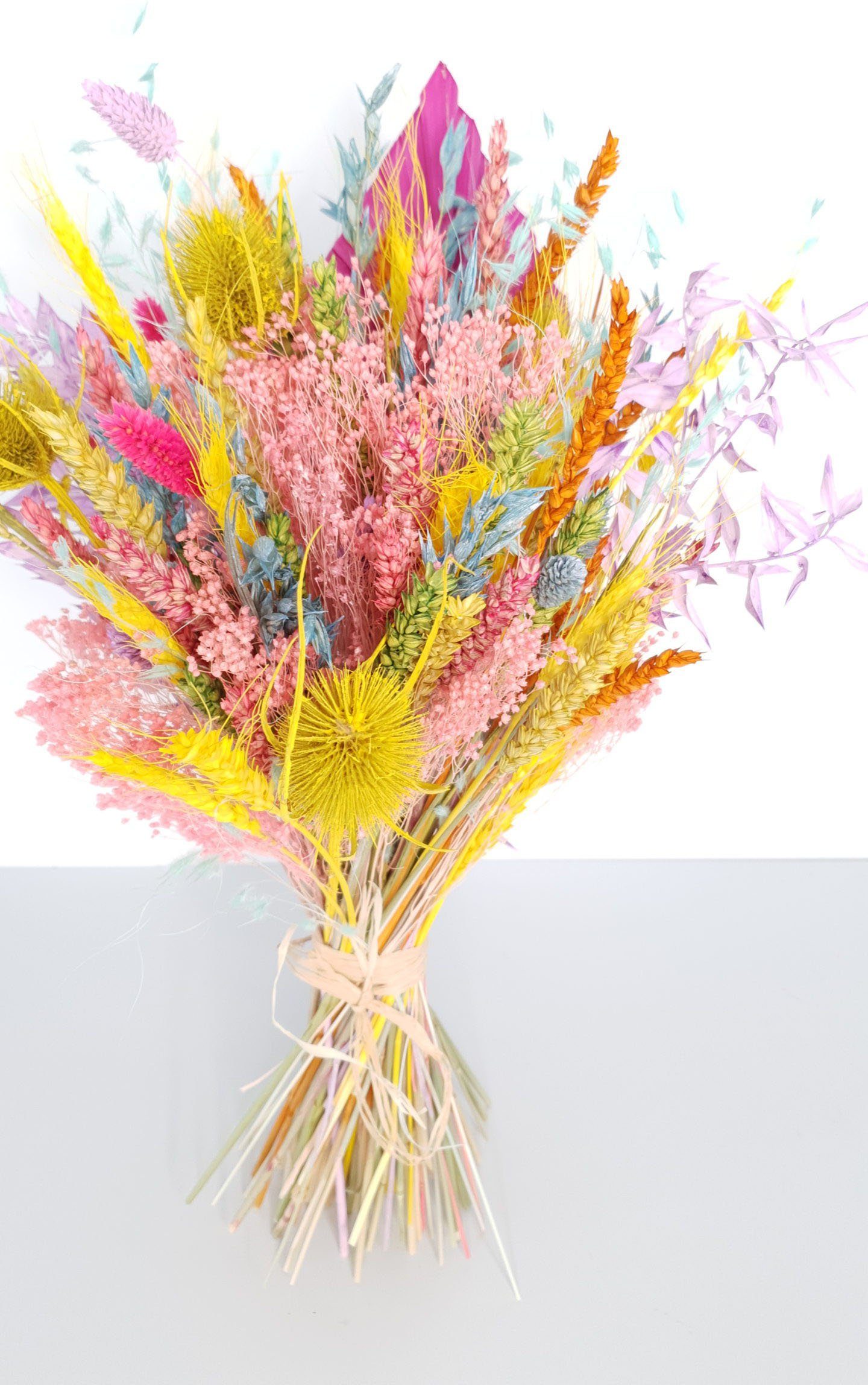 Trockenblume »Lollipop«, freundin Home Collection, Höhe 45 cm, Blumenstrauß-HomeTrends