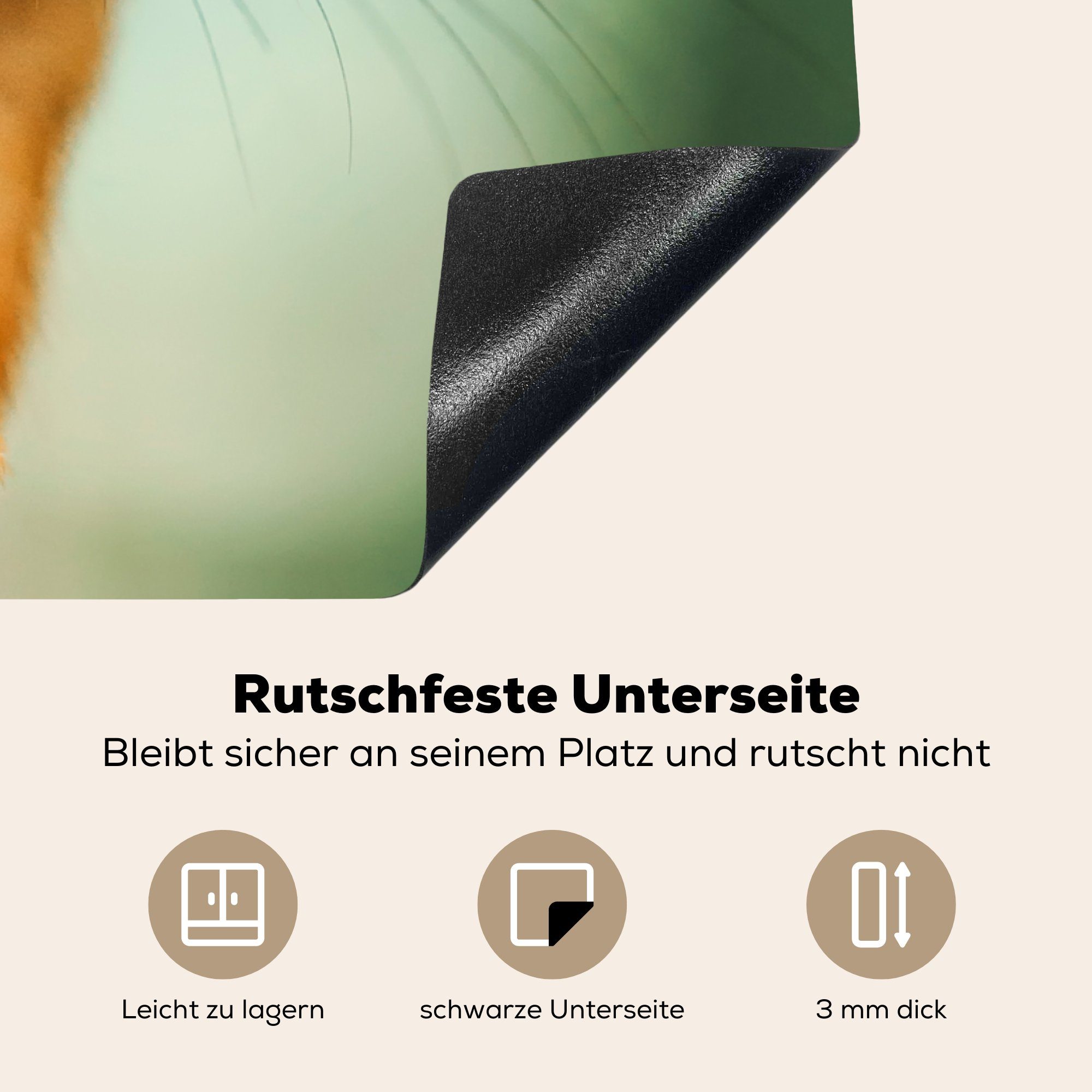 - - - küche tlg), Lustig - Arbeitsplatte (1 MuchoWow Jungen - 78x78 Eichhörnchen - Herdblende-/Abdeckplatte Kinder Kind, Ceranfeldabdeckung, Vinyl, Nuss für cm, Mädchen