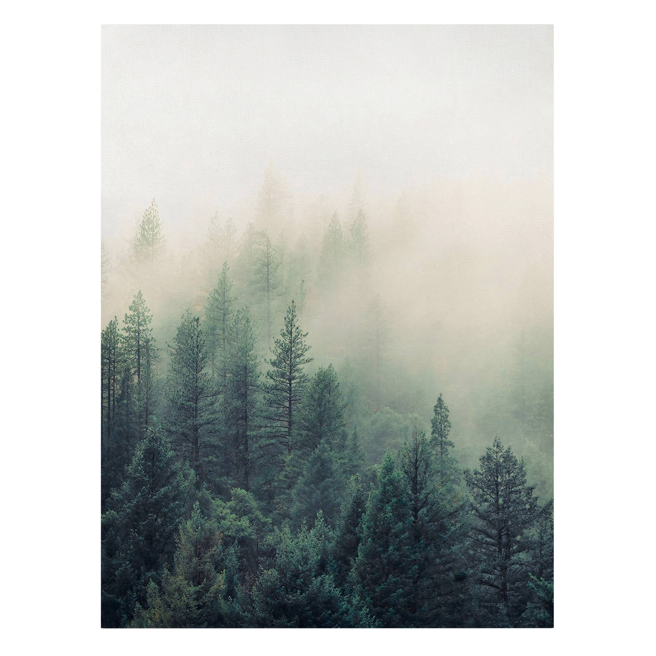 Kunstdruck Leinwand Leinwand; Groß Größen auf vielen Bild beige Erwachen in Bild Wald Leinwandbild Nebel XXL, Bilderdepot24 Leinwanddruck creme auf