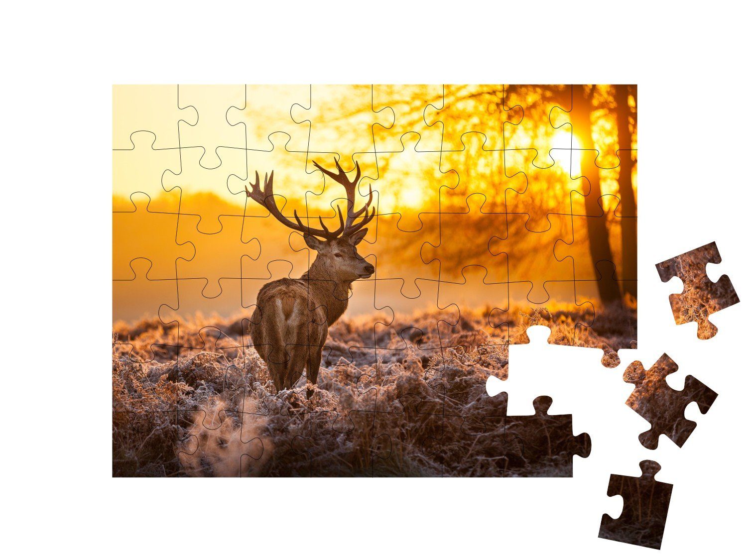 puzzleYOU 48 Hirsche, Teile, Rothirsch 48 puzzleYOU-Kollektionen Natur, Morgensonne, Tiere, in Teile 500 der Puzzleteile, Puzzle