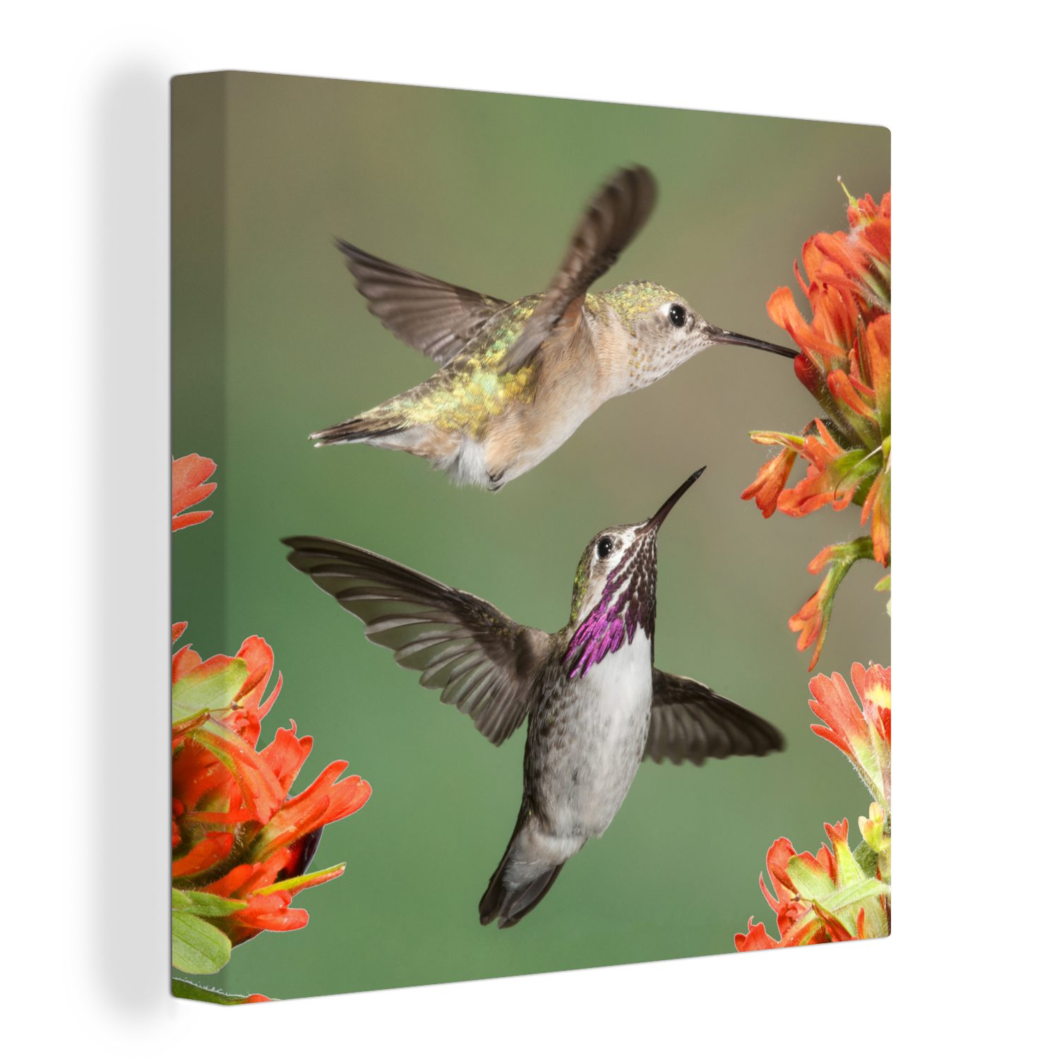 OneMillionCanvasses® Leinwandbild Kolibri - Blumen - Orange, (1 St), Leinwand Bilder für Wohnzimmer Schlafzimmer