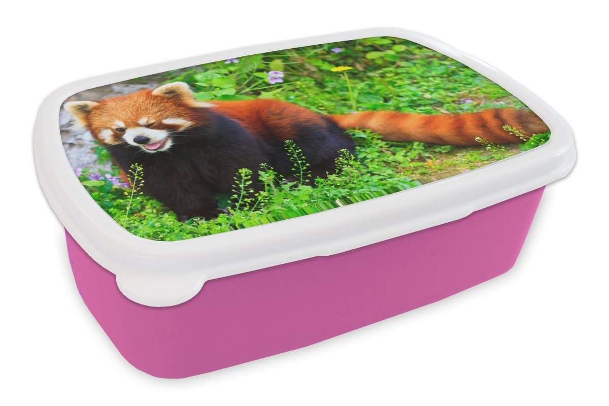 für (2-tlg), - Kinder, Mädchen, Erwachsene, Grün Lunchbox - Brotdose Brotbox Roter Kunststoff Gras, Snackbox, rosa MuchoWow Kunststoff, Panda