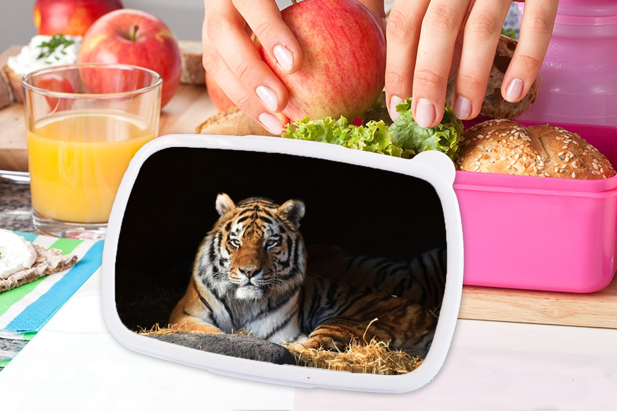 Kinder, MuchoWow Mädchen, - Kunststoff Lunchbox Stroh rosa Schatten, Snackbox, Kunststoff, Brotdose Brotbox (2-tlg), Erwachsene, Tiger für -