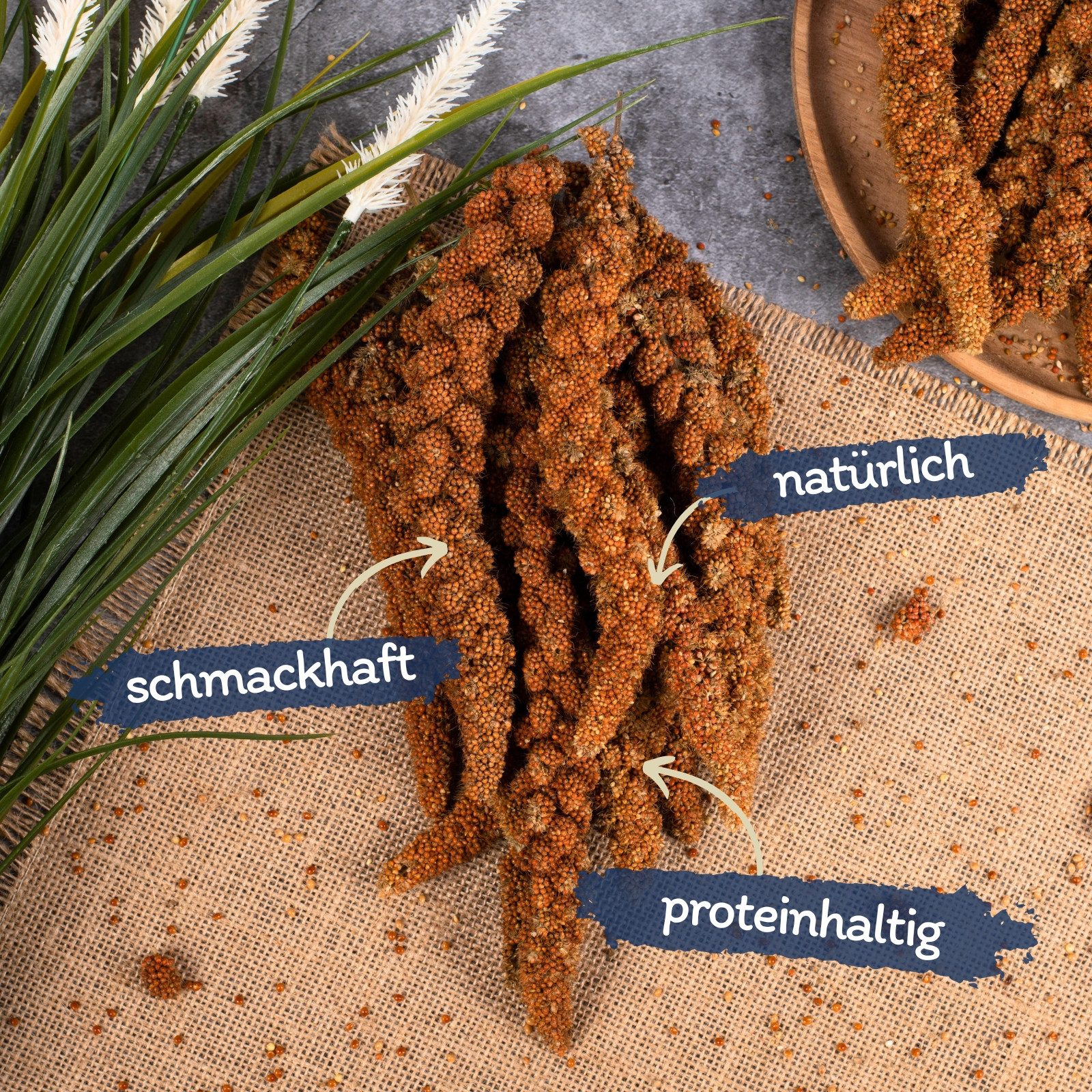 Lyra Pet 1 kg Lyra Pet® Kolbenhirse rot, für: Wildvogel, Haus- und Nutztier