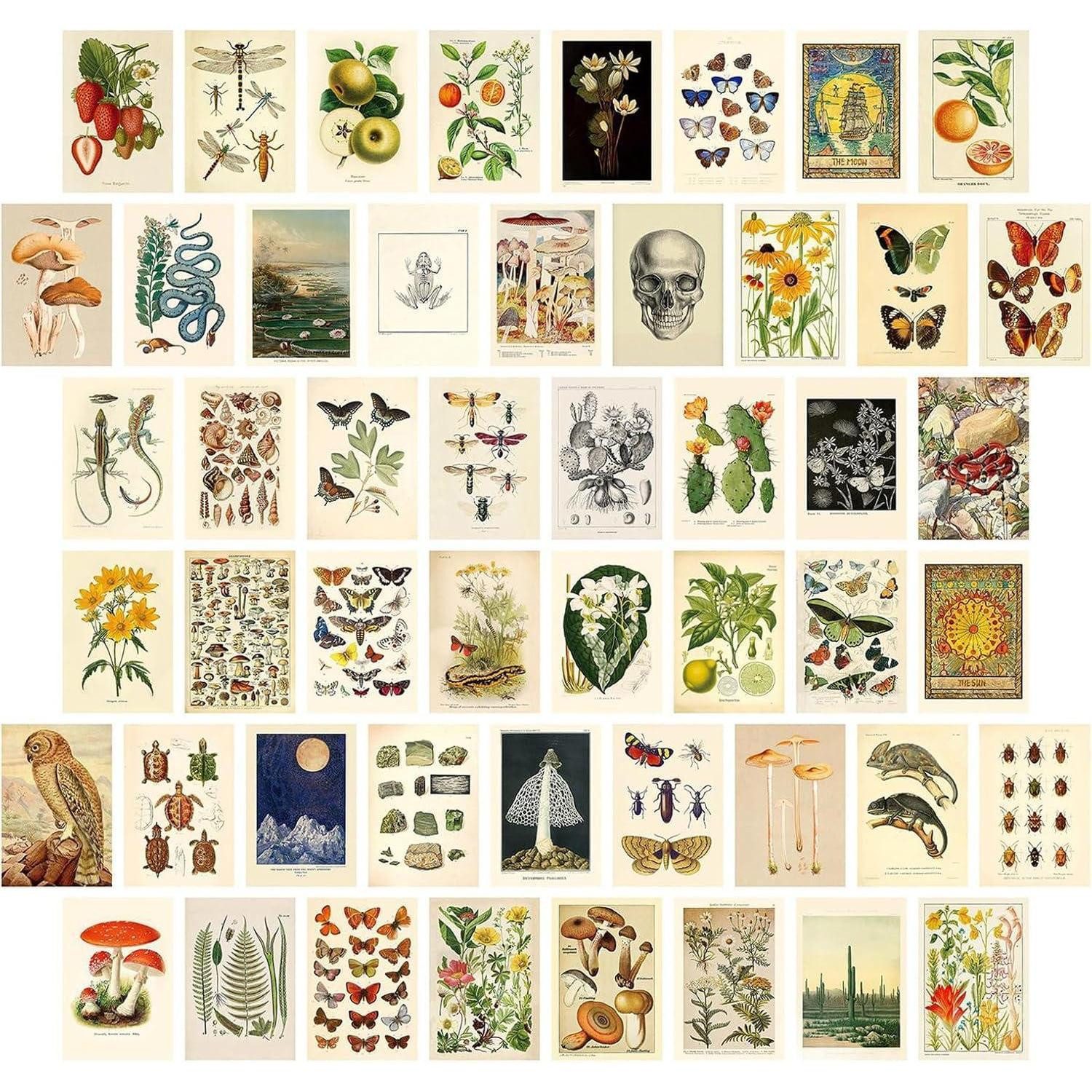 Dazzlewall Bilder-Collage Vintage Wandcollage Set 50 Stück Ästhetische Bilder Schlafzimmer