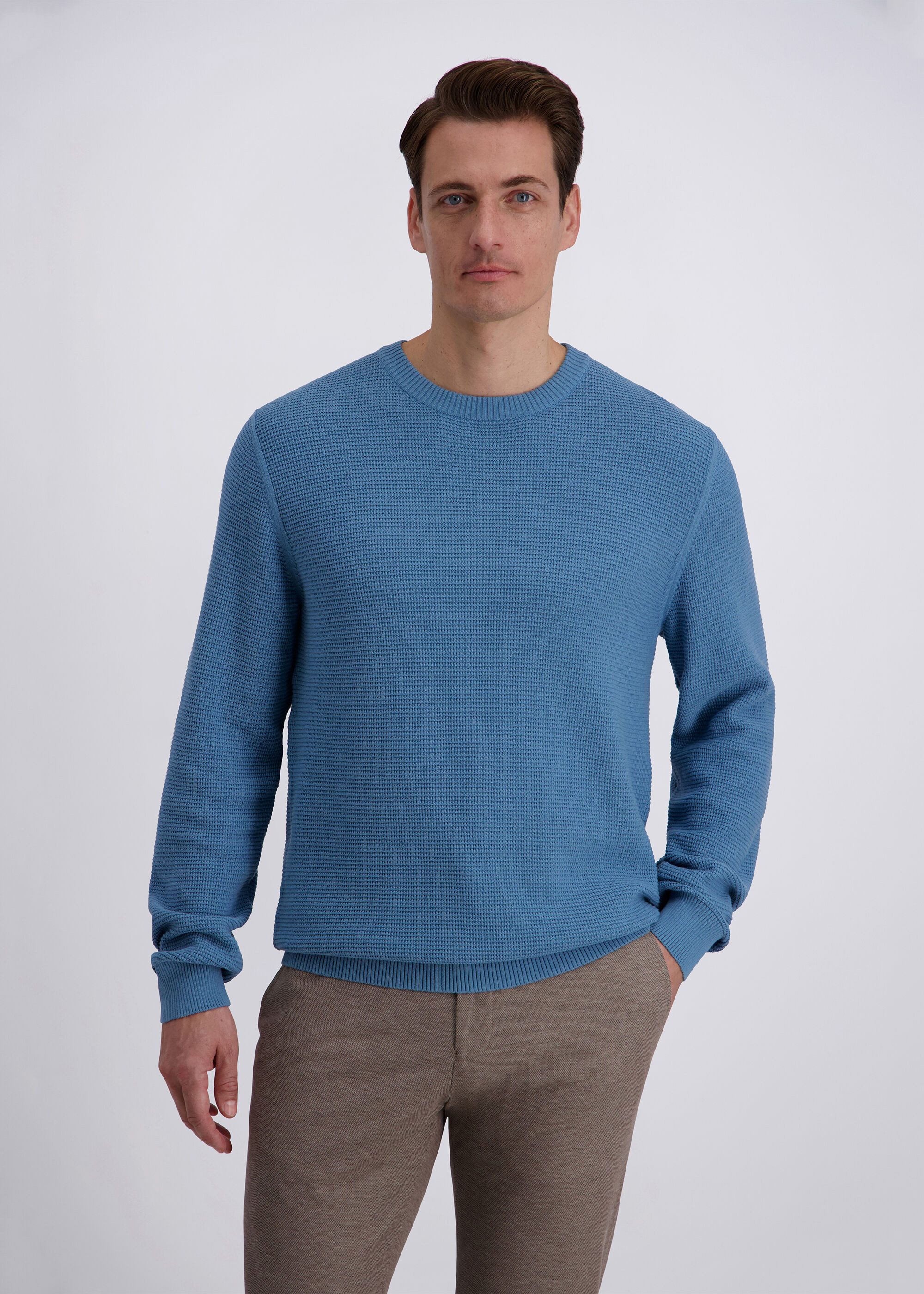 Pierre Cardin Strickpullover