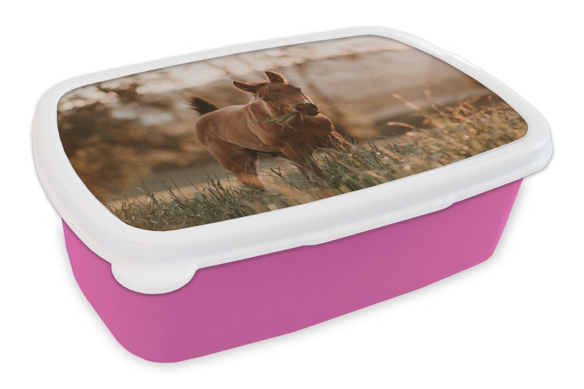 MuchoWow Lunchbox Pferd - Sonne - Gras, Kunststoff, (2-tlg), Brotbox für Erwachsene, Brotdose Kinder, Snackbox, Mädchen, Kunststoff rosa