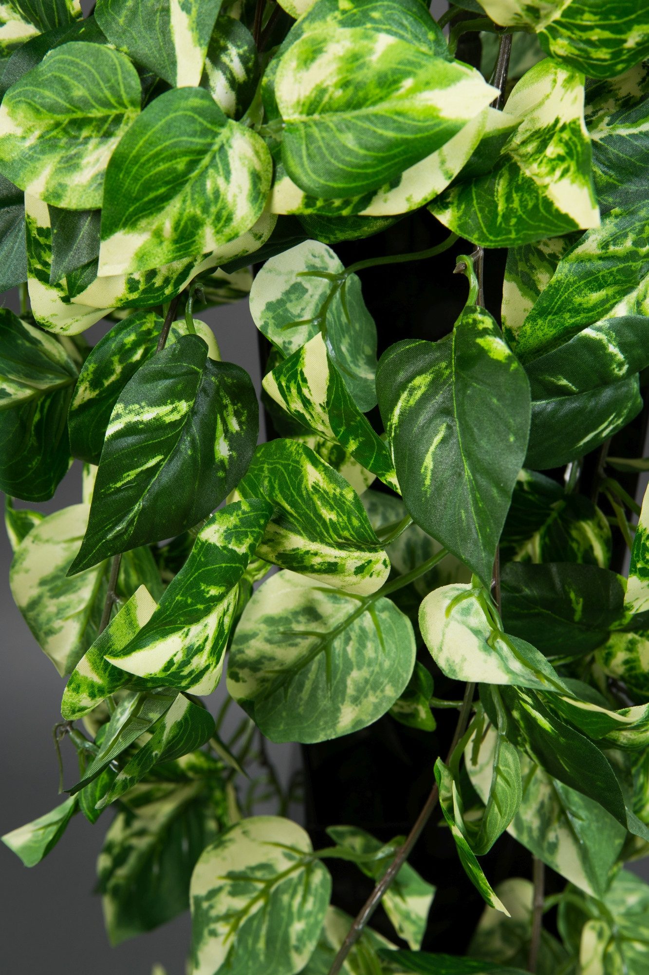 Kunstranke Photosranke grün-gelb PM Pflanzen Ranken Kunstrpflanzen künstlic günstig online kaufen