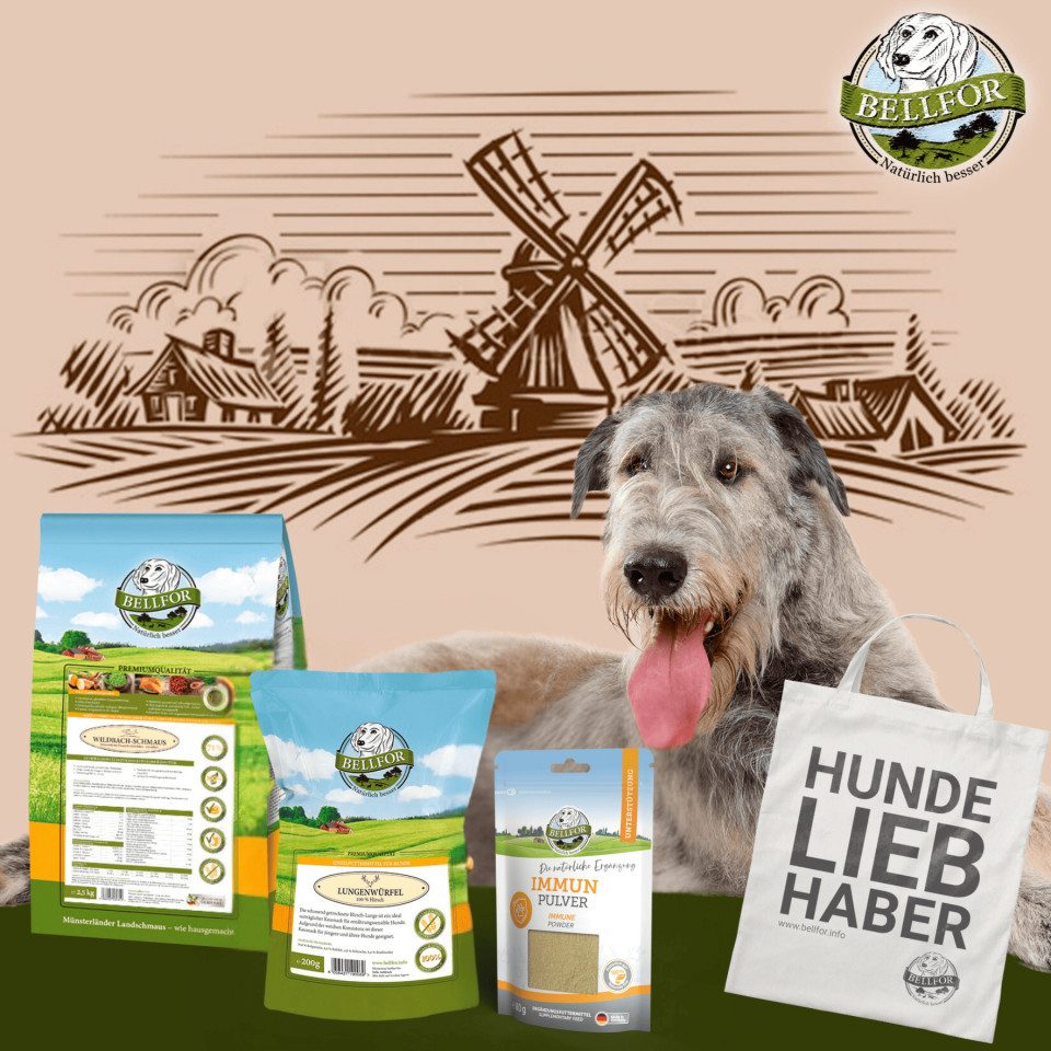 Bellfor Bellfor Irischer Wolfshund Futter Set, für: Hunde