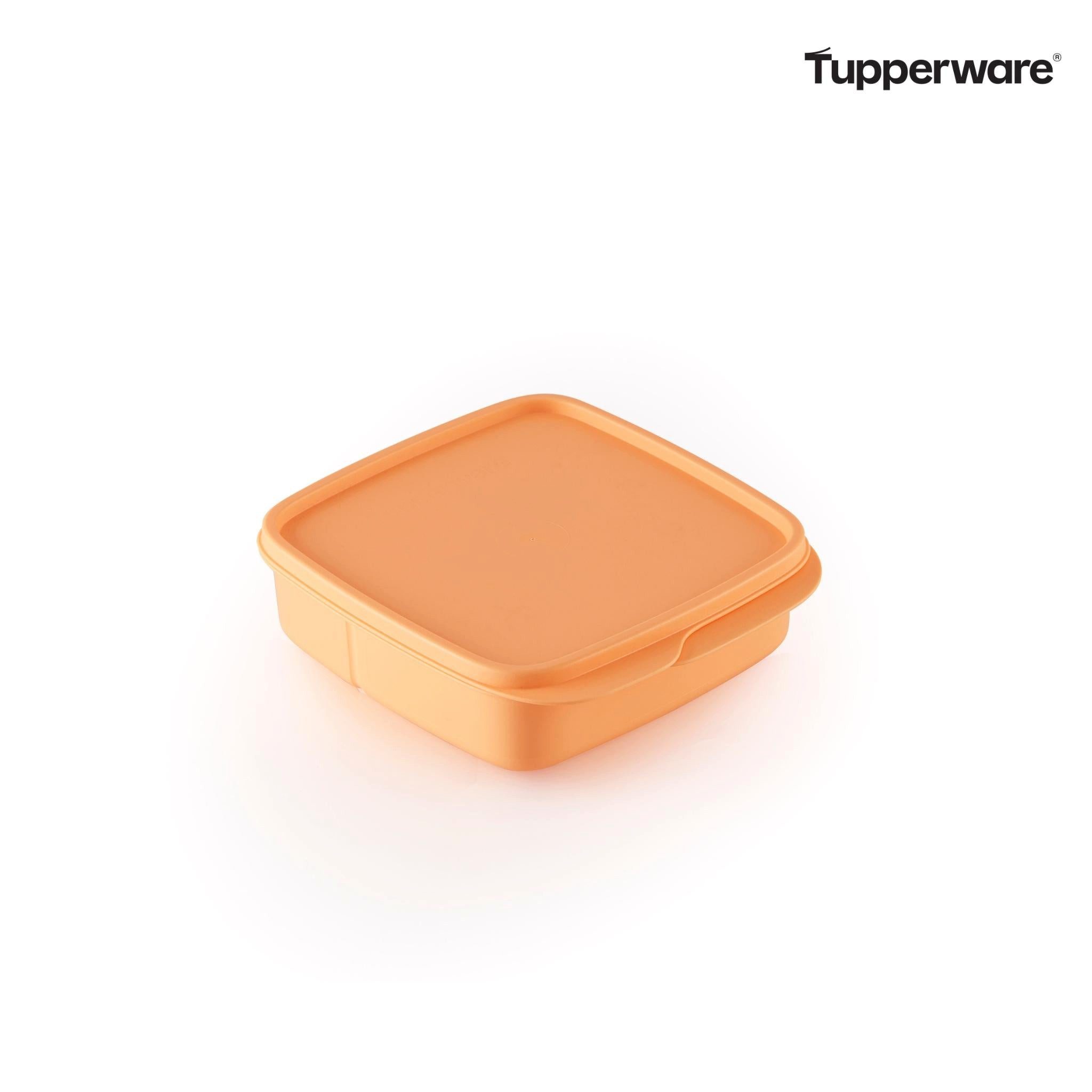 TUPPERWARE Lunchbox Clevere Pause lachs