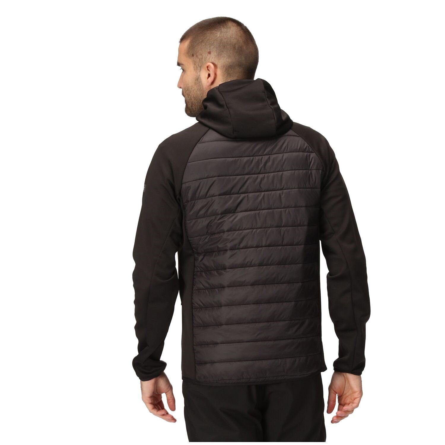 Regatta Steppjacke Softshelljacke Steppjacke Andreson VIII Hybrid