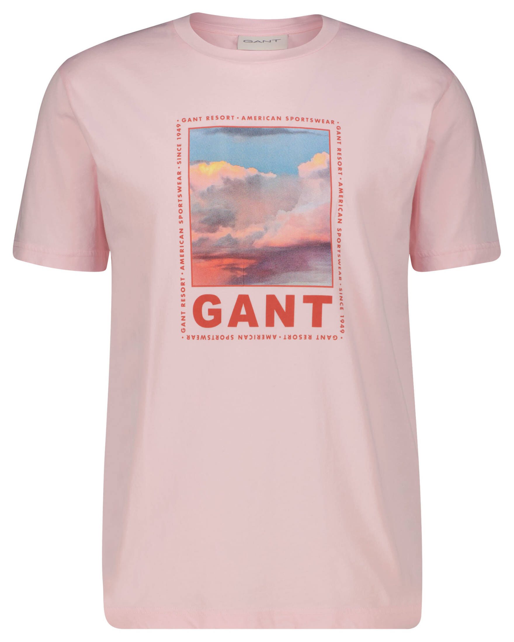 Gant T-Shirt Herren T-Shirt WASHED GRAPHIC (1-tlg)