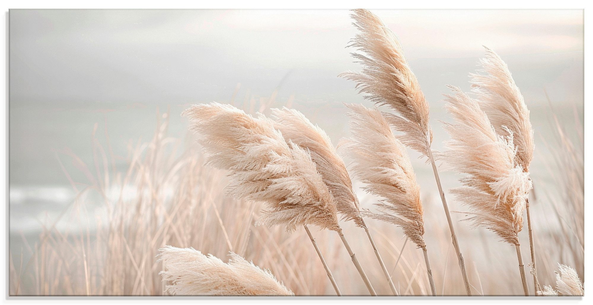 Artland Glasbild Pampasgras in einer zarten Brise, Gräser (1 St), in verschiedenen Größen