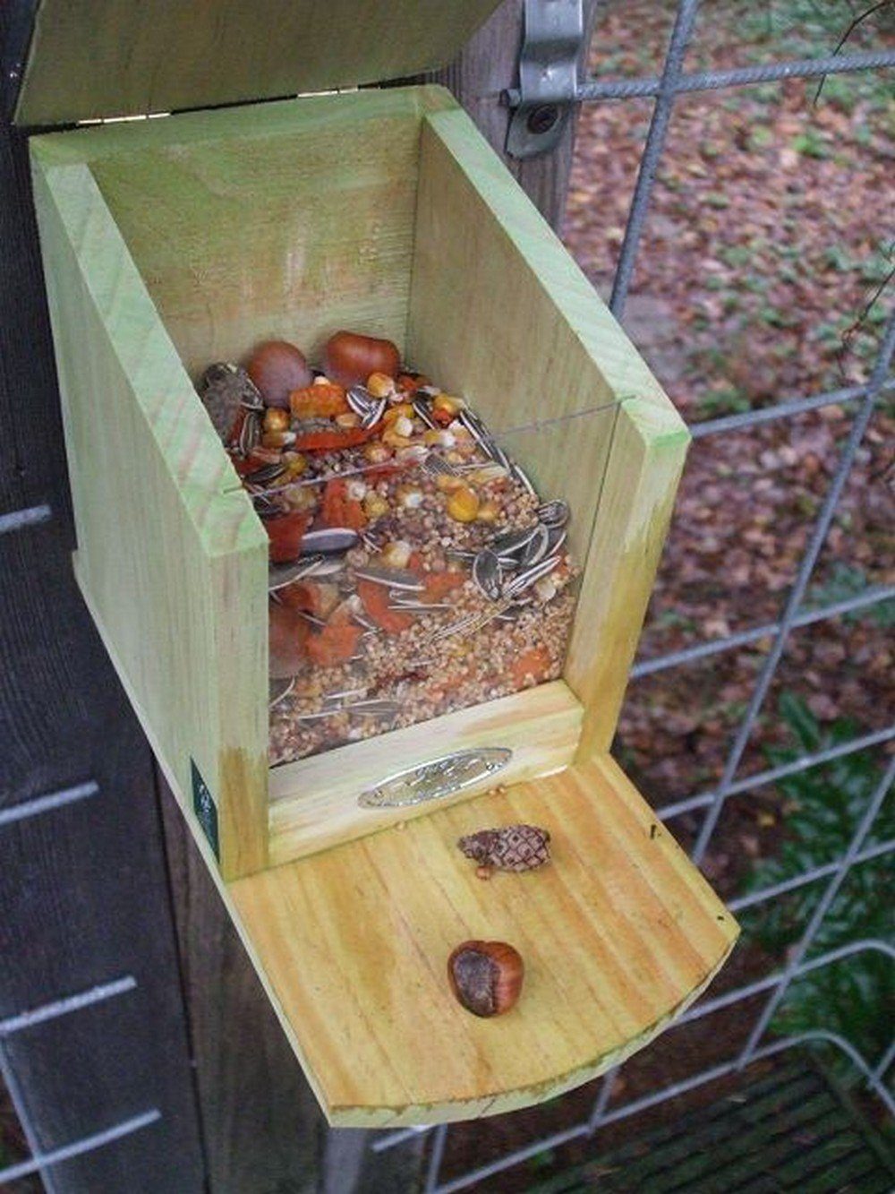 Deko-Impression Futterspender Eichhörnchen Futterhaus futterautomat futters günstig online kaufen