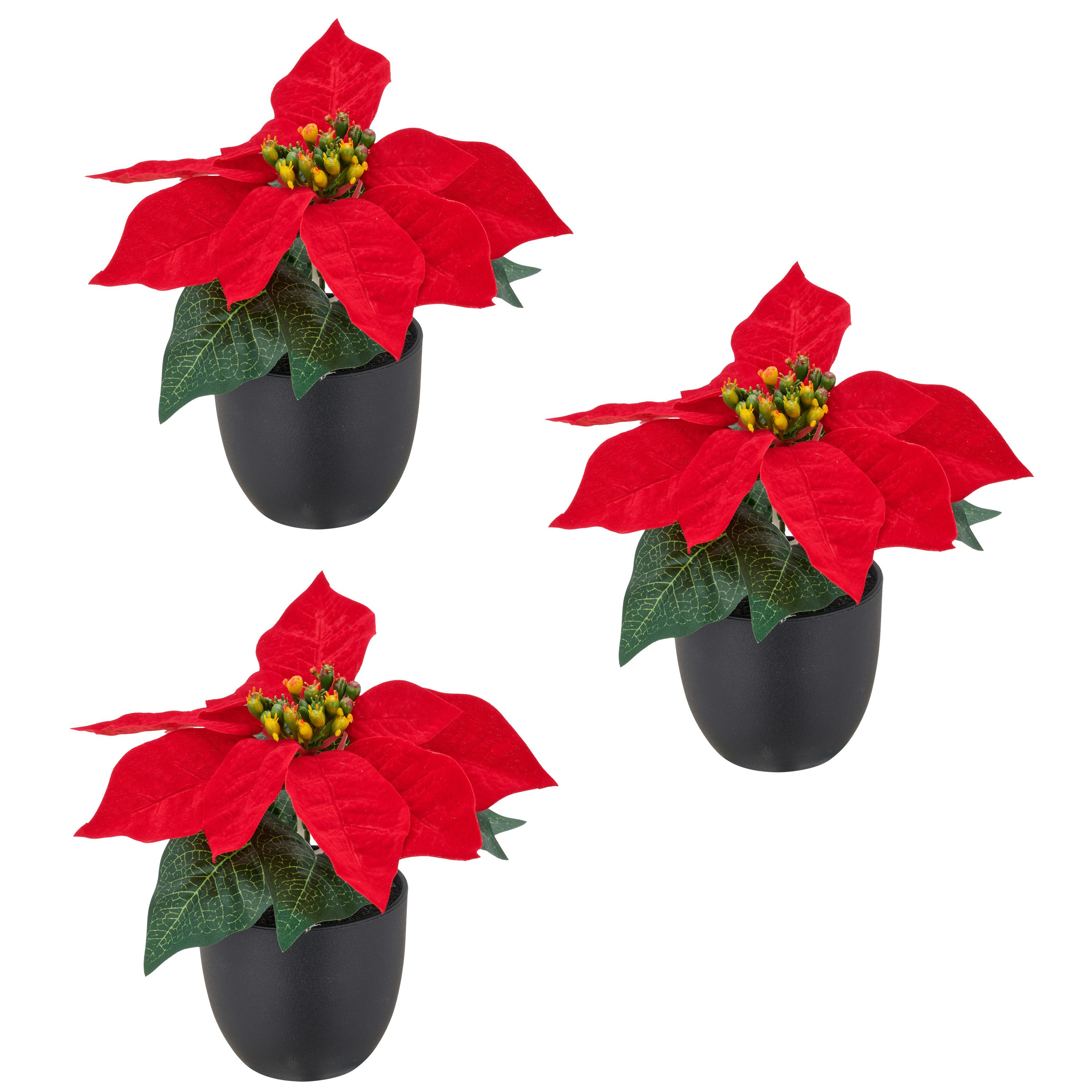 Kunstblume Weihnachtsstern, Creativ green, Höhe 16 cm, mit dauerhafter Blütenpracht