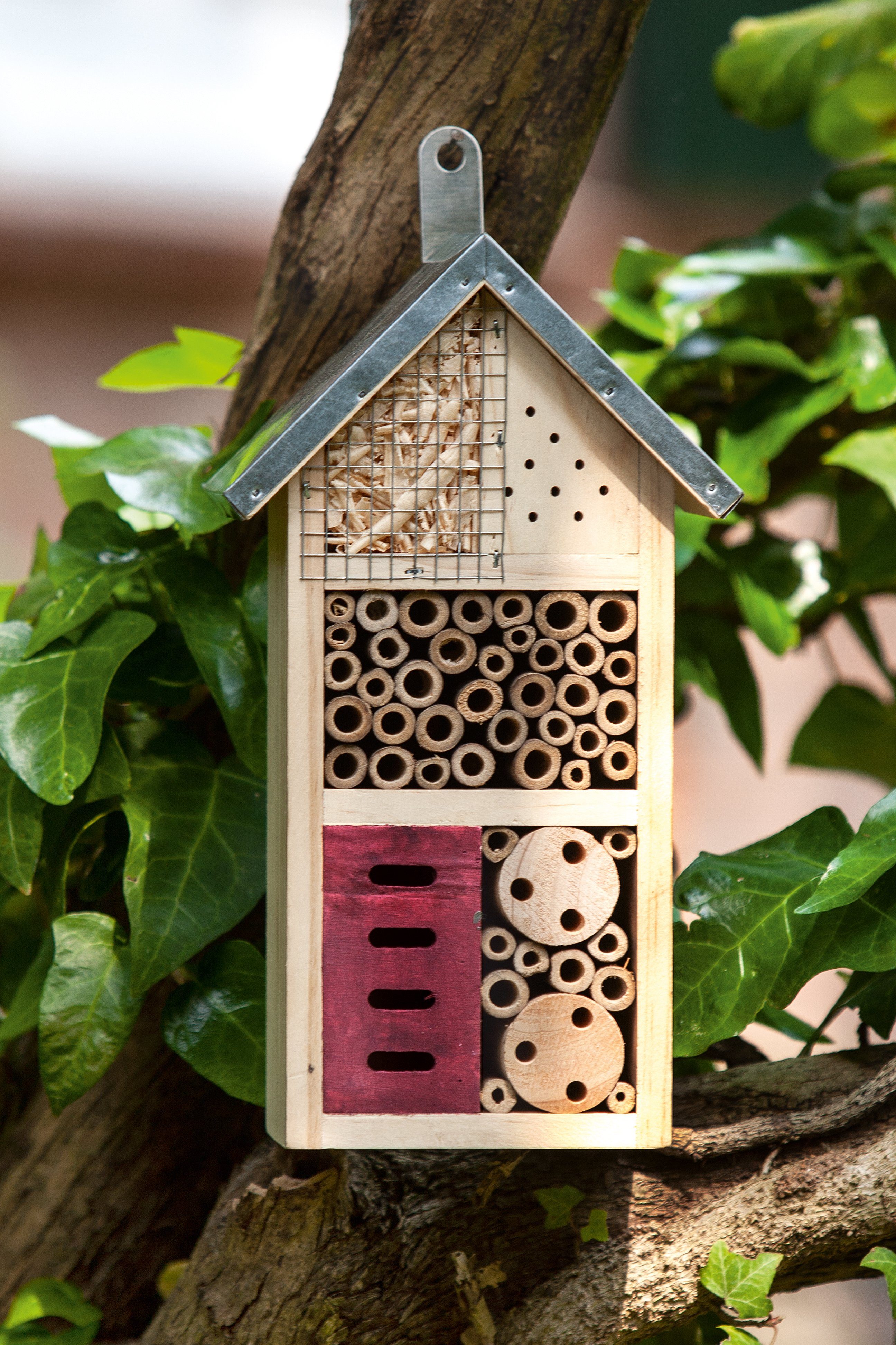 Cult at Home Insektenhotel Bienenhotel - Höhe 26 cm - Schmetterlingshaus aus Holz