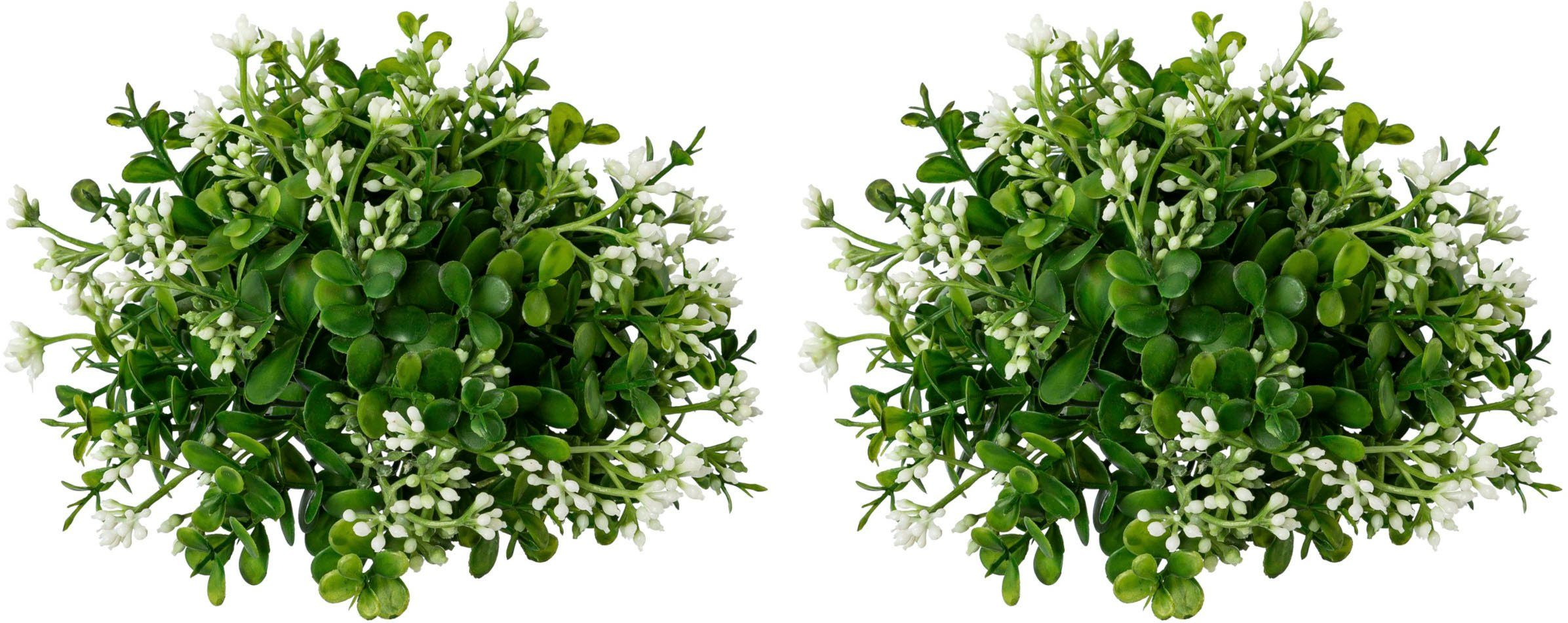 Kunstkranz Eukalypthushalbkugel, Creativ green, Höhe 15 cm