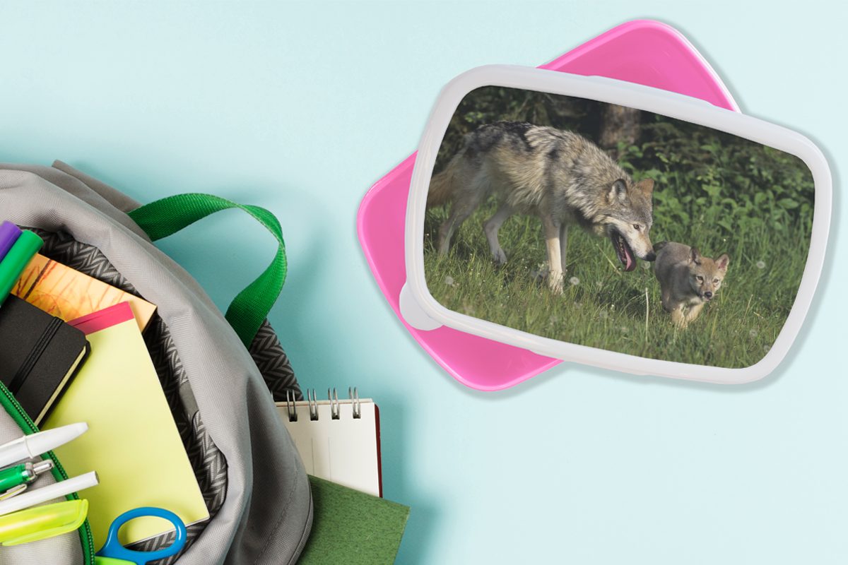Brotbox Baby Wolf Erwachsene, Gras, Brotdose (2-tlg), - Kunststoff Snackbox, MuchoWow für Kinder, Kunststoff, rosa Mädchen, Lunchbox -