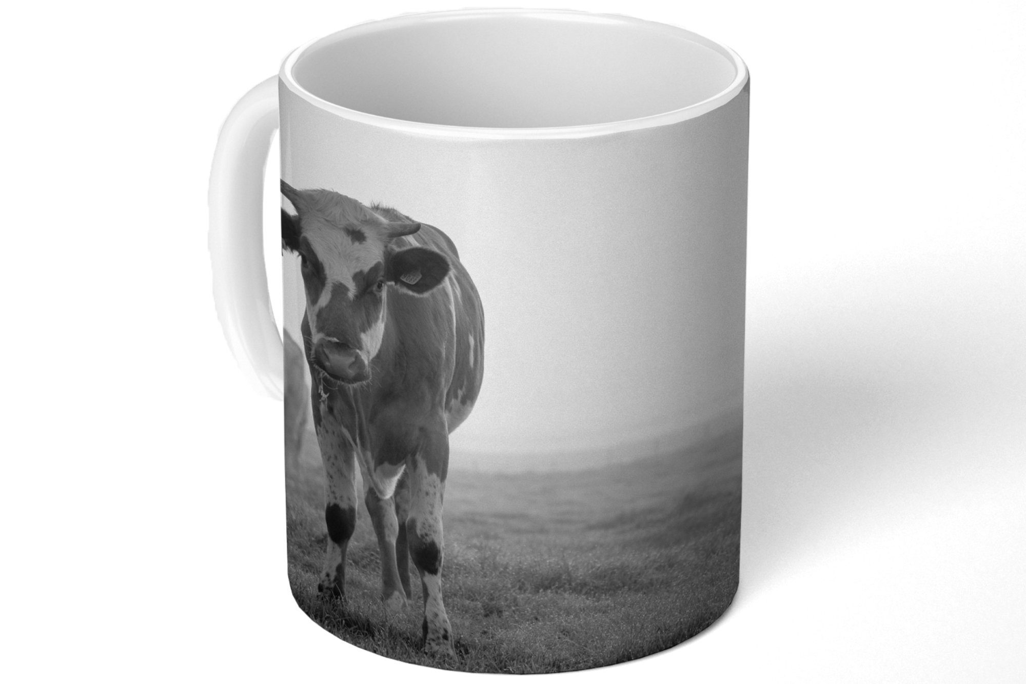 Foto, Morgennebel im MuchoWow Tasse Teetasse, Kaffeetassen, Teetasse, Keramik, Kühe schwarz-weiß Geschenk Becher,