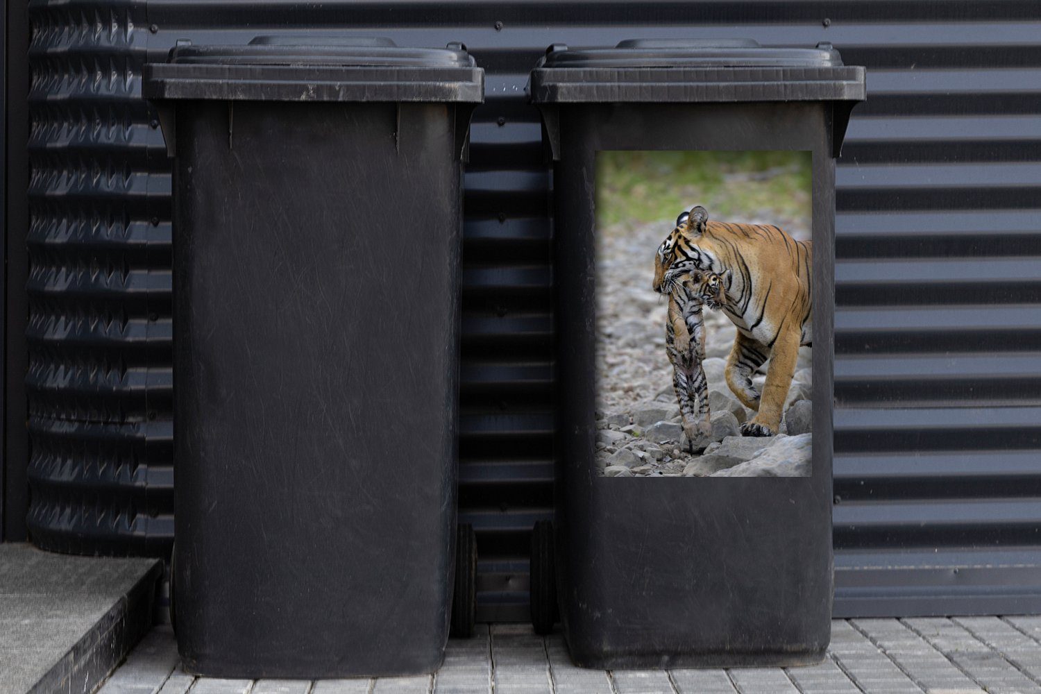 Sticker, Mülleimer-aufkleber, MuchoWow Wandsticker Tigerin Container, Abfalbehälter Jungtier ihrem (1 mit Mülltonne, St),