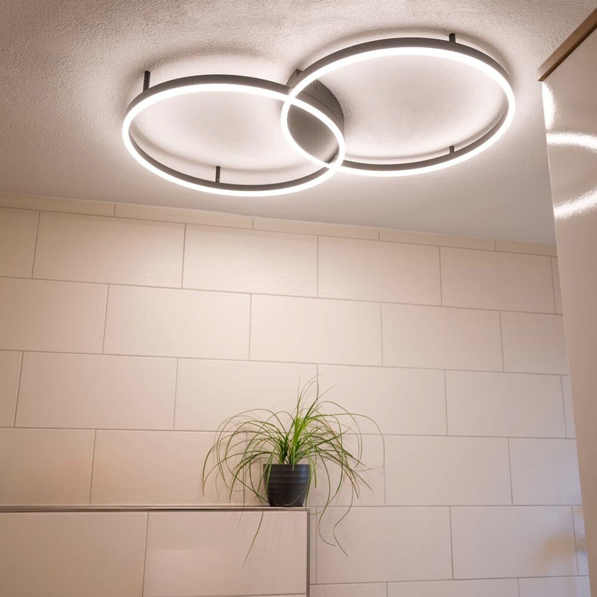 s.luce Deckenleuchte LED Deckenleuchte Ring 2-flammig Gold, Warmweiß