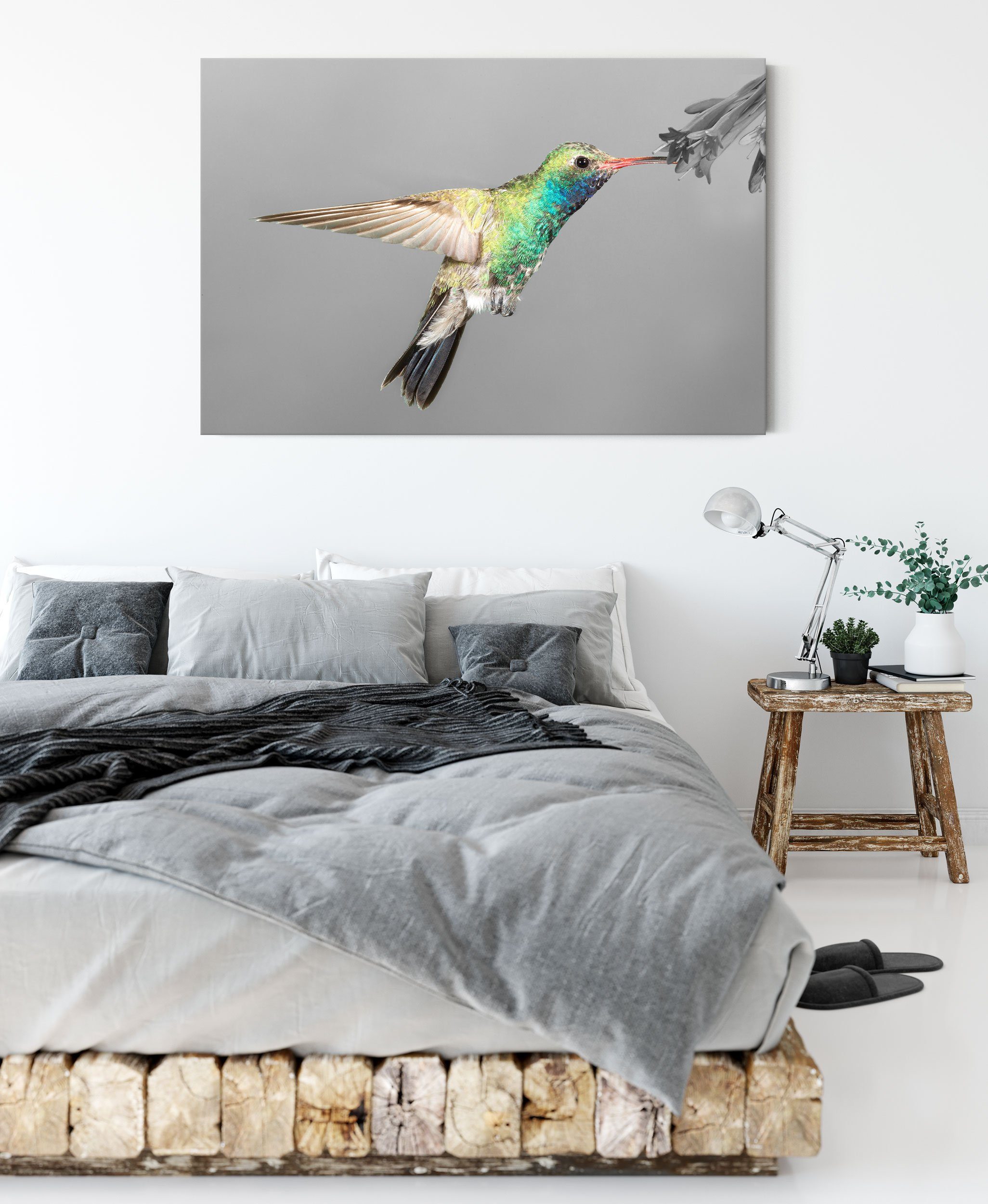 Pixxprint Leinwandbild wunderschöner Kolibri, Kolibri bespannt, St), Zackenaufhänger Leinwandbild inkl. (1 fertig wunderschöner