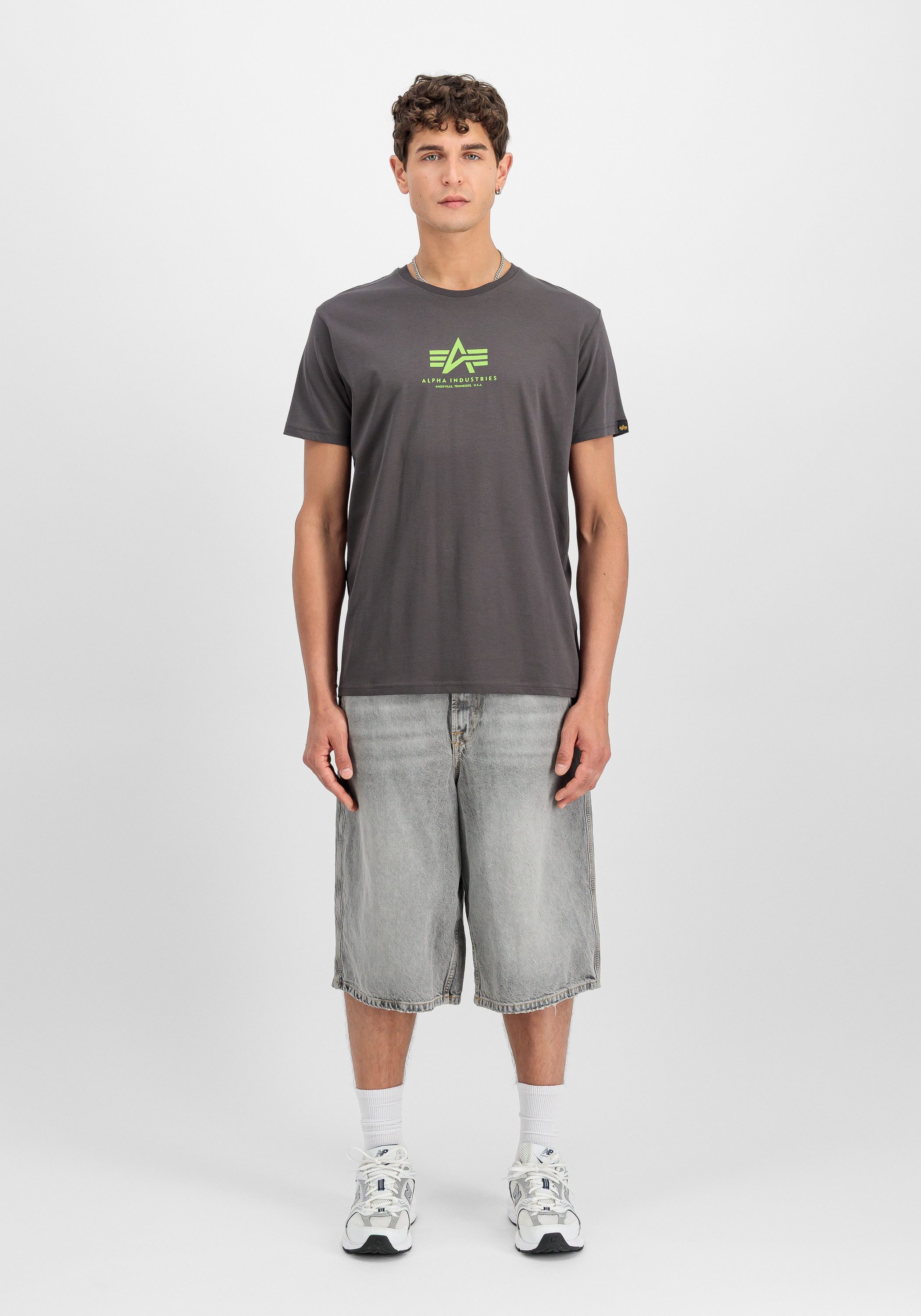 Alpha Industries T-Shirt Basic T-Shirt ML