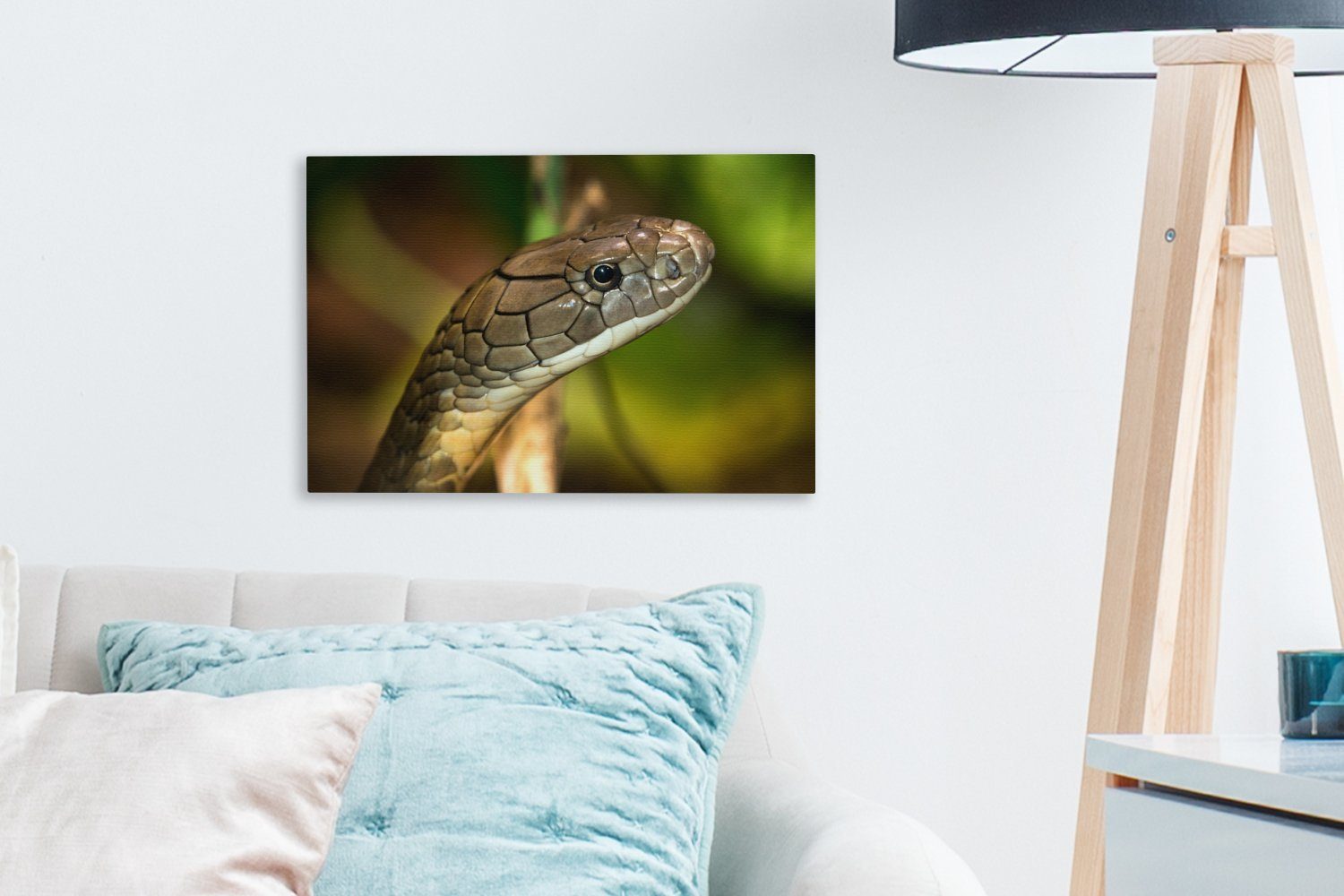 Wandbild St), Aufhängefertig, (1 Wanddeko, grünen 30x20 cm einer Kobraschlange Leinwandbilder, OneMillionCanvasses® Umgebung, in Leinwandbild