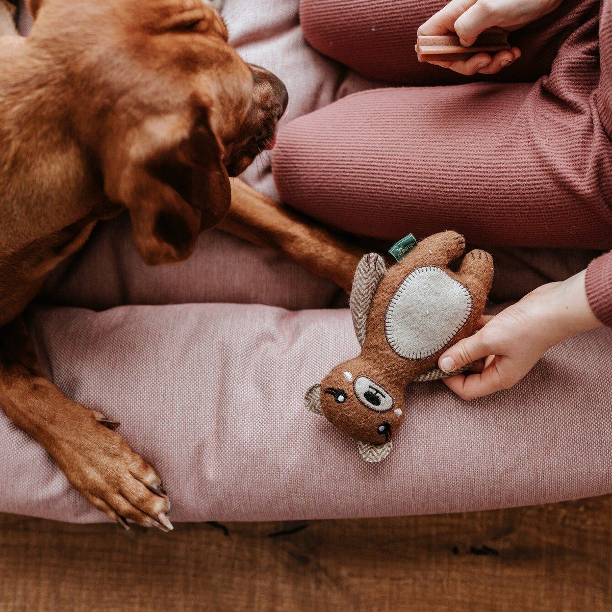 Hunter Tierbedarf Tierkuscheltier Hundespielzeug Fyn Bär günstig online kaufen