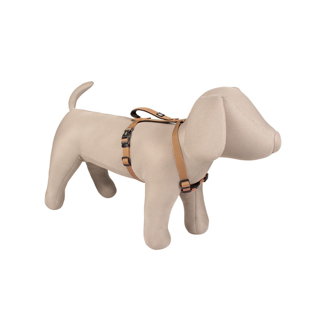 DUVO+ Hunde-Geschirr Duvoplus EXPLOR North Geschirr - Taupe Umfang/Breite: 30-40cm/15mm