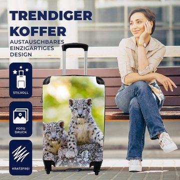 MuchoWow Handgepäckkoffer Leopard - Jungtiere - Steine, 4 Rollen, Reisetasche mit rollen, Handgepäck für Ferien, Trolley, Reisekoffer