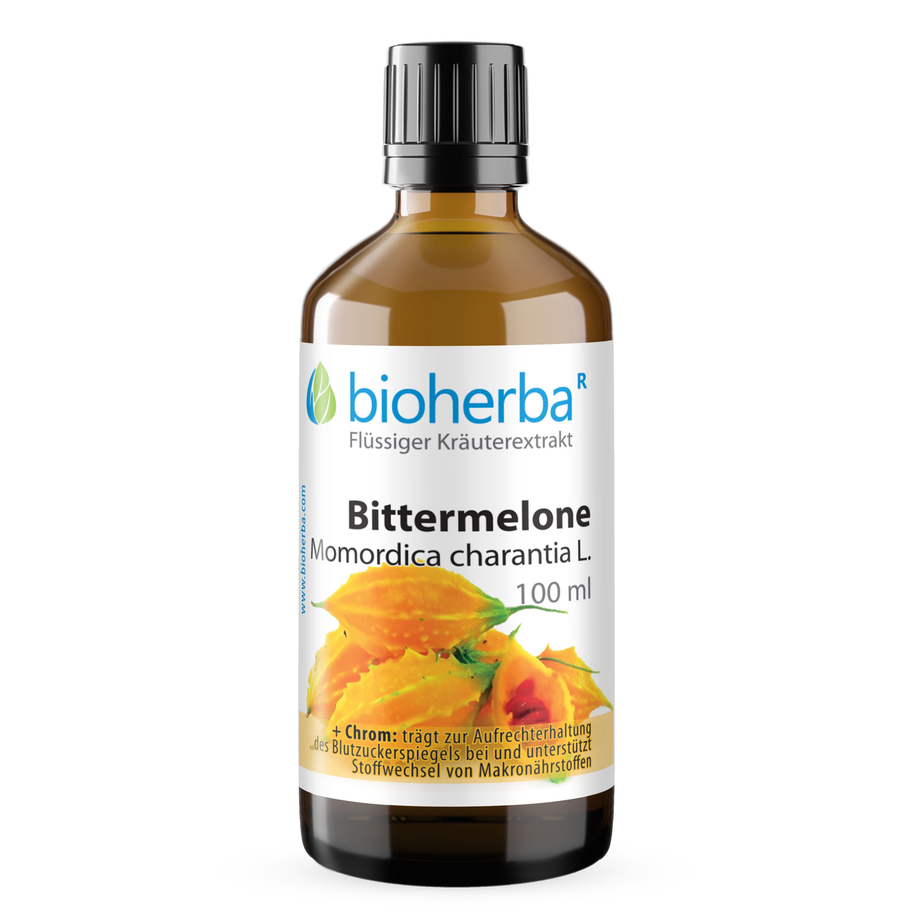 BIOHERBA R Bioherba Bittermelone Momordica charantia L. Tropfen Tinktur 100ml Tropfen