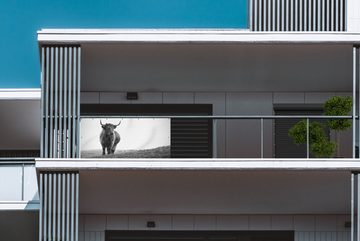 MuchoWow Balkonsichtschutz Tiere - Schottische Hochlandbewohner - Schwarz und weiß - Natur - (1-St) Balkonbanner, Sichtschutz für den Balkon, Robustes und wetterfest