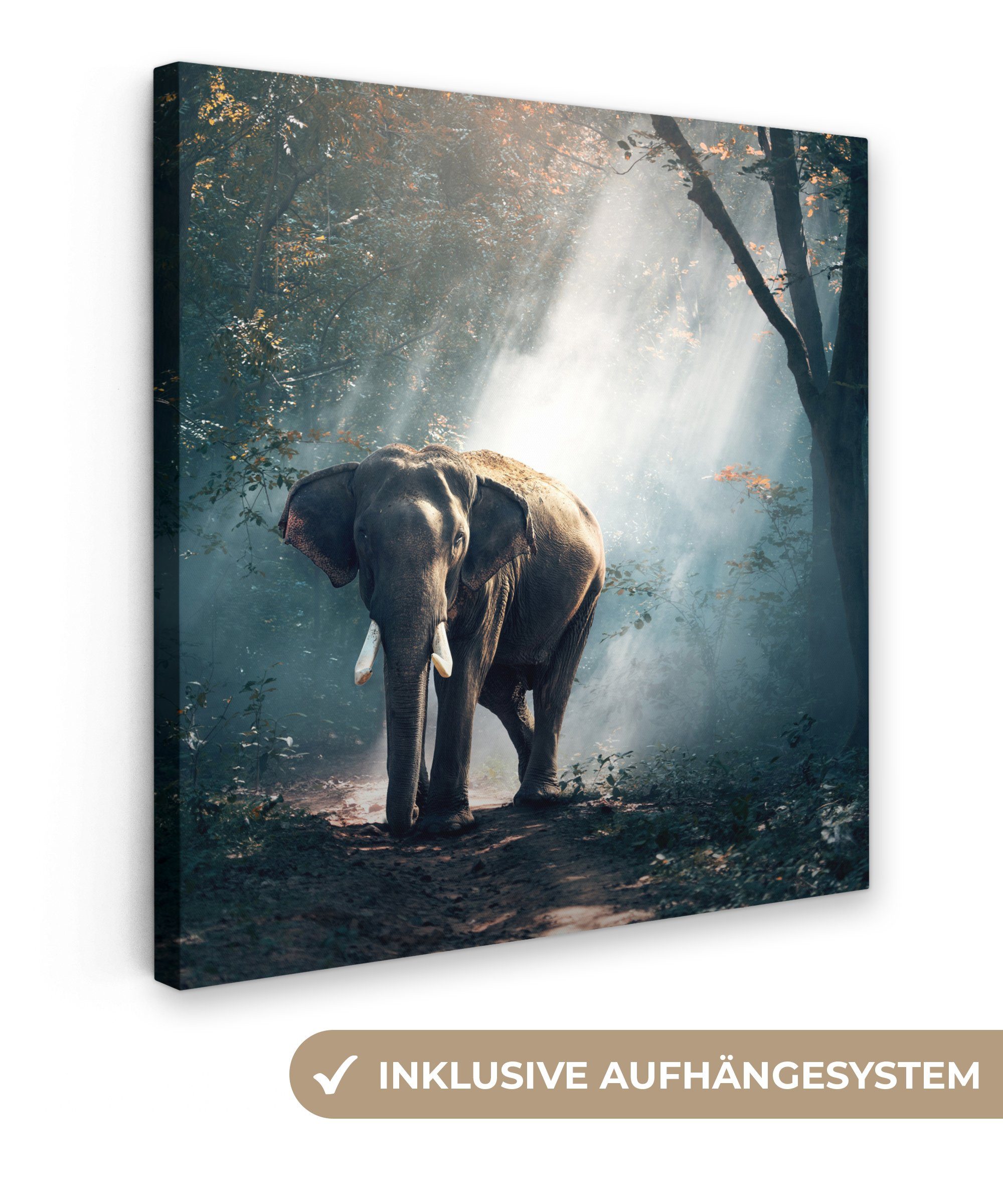 OneMillionCanvasses® Leinwandbild Elefant - Tiere - Licht - Wald - Natur - Wildtiere, (1 St), Leinwand Bilder für Wohnzimmer Schlafzimmer, 20x20 cm