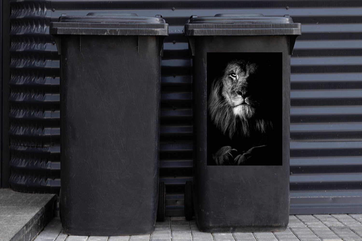 MuchoWow Wandsticker Nahaufnahme eines Mülleimer-aufkleber, - weiß Mülltonne, Hintergrund St), auf Sticker, schwarz und Abfalbehälter Container, schwarzem (1 Löwen