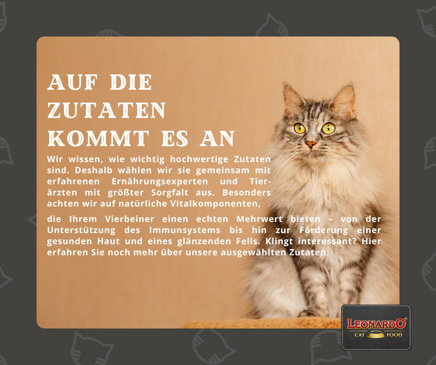 Leonardo Catfood Frischebeutel Bundle - verschiedene Sorten im parktischen Mixpaket Mix 1 (24x85g), Nassfutter für: Katzen – Bild 3 von 5
