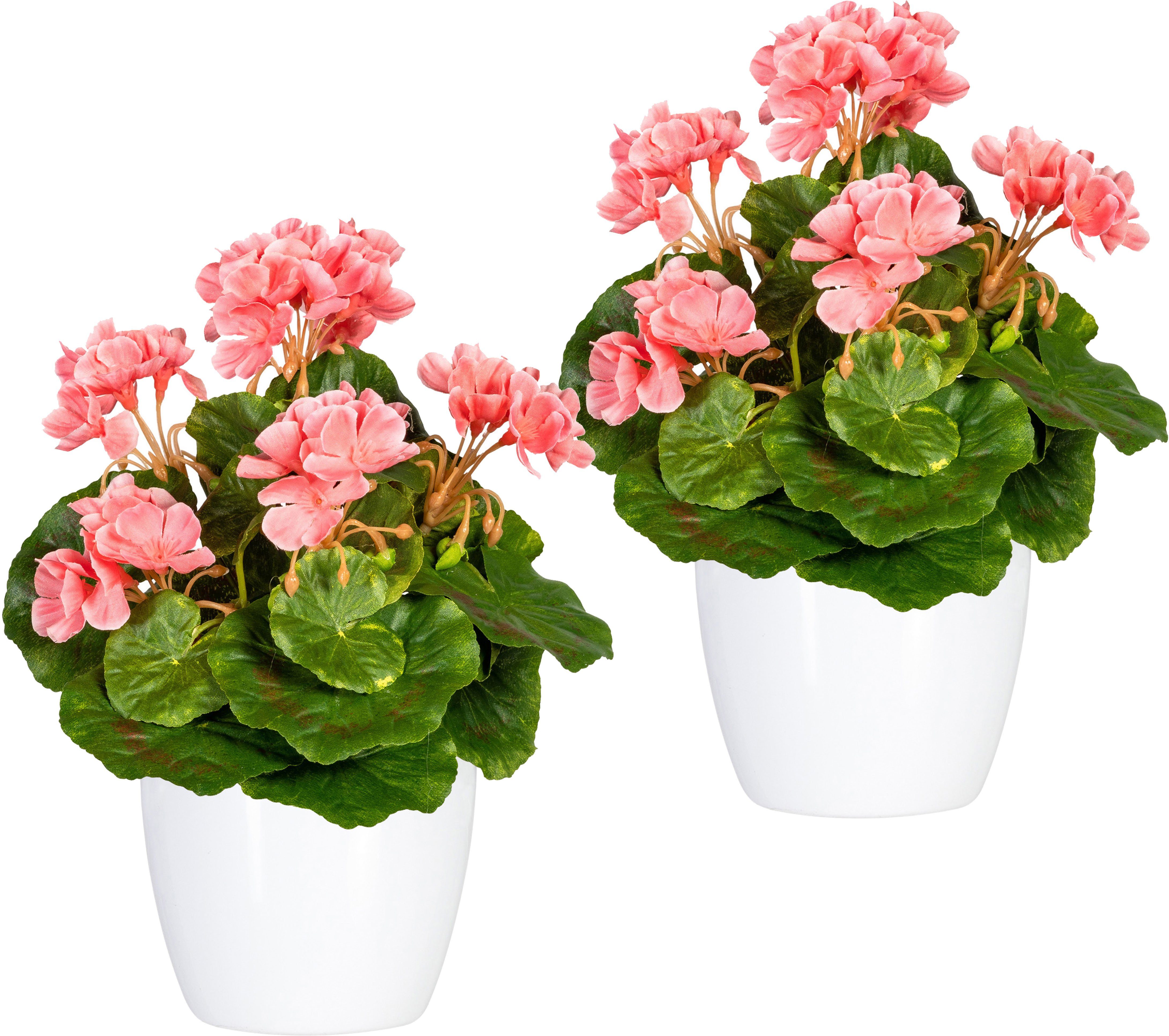 Kunstpflanze Havel Geranie, OTTO home, Höhe 24 cm, im Topf, 2er Set