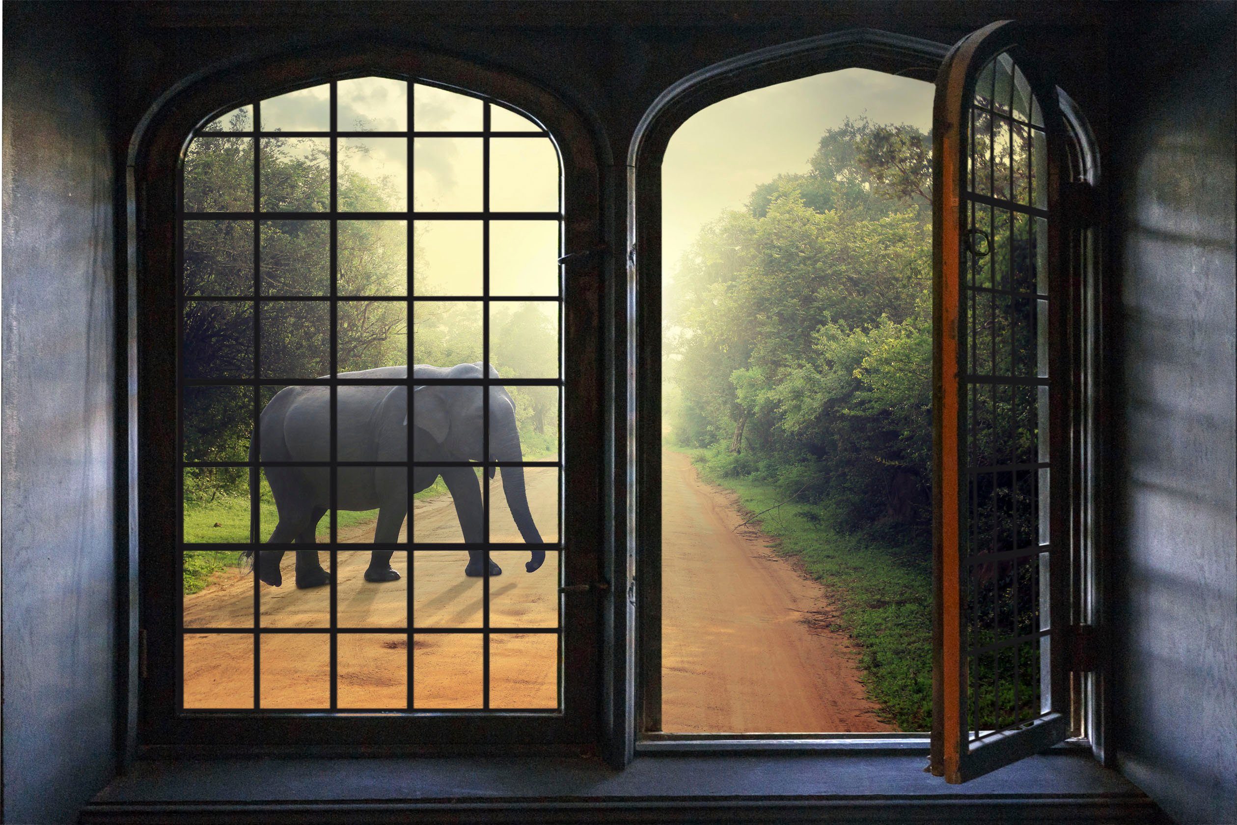 queence Wandsticker Elefant | Tier-Wandtattoos