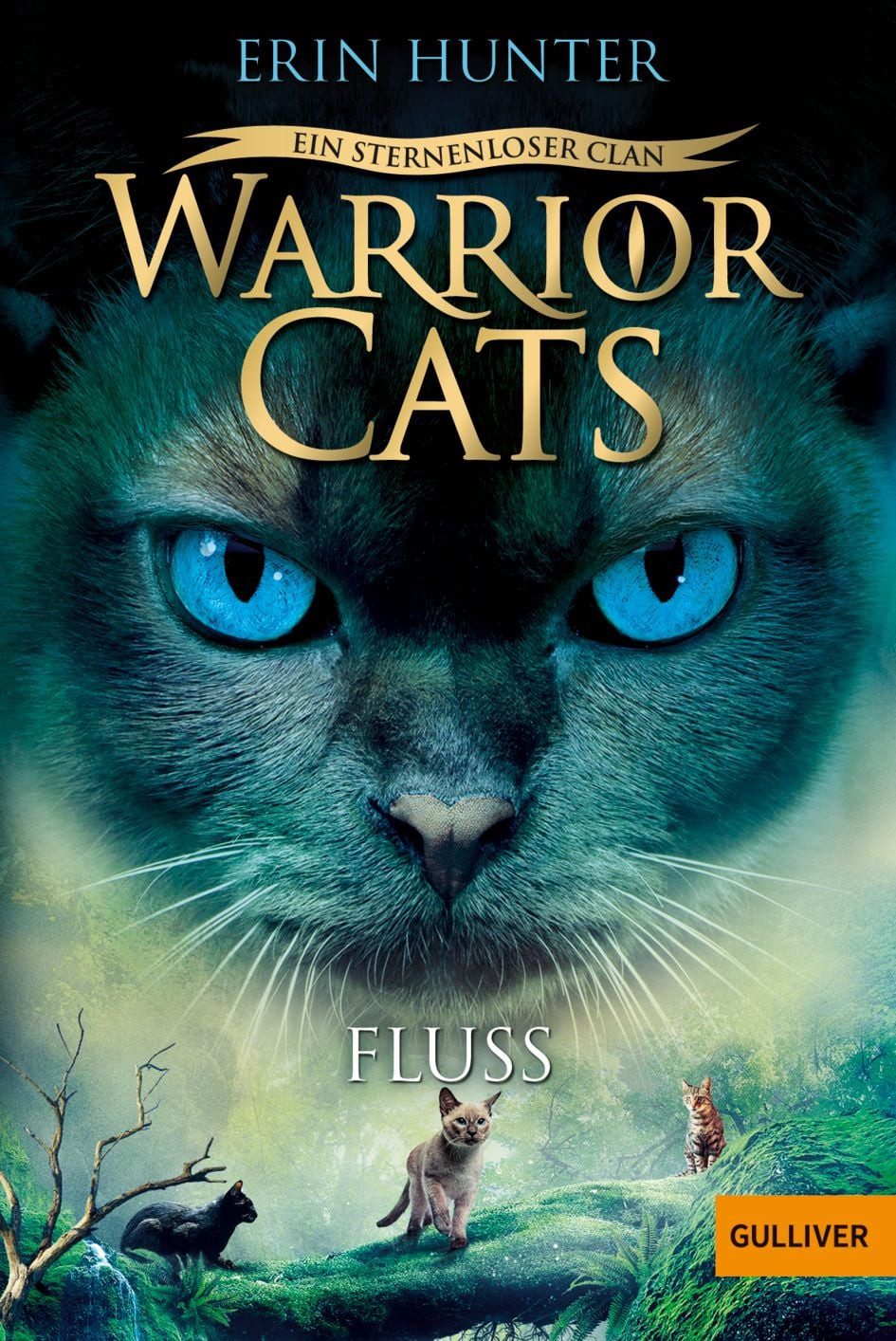 Warrior Cats - Ein sternenloser Clan. Fluss / Erin Hunter, Staffel VIII, Band 1
