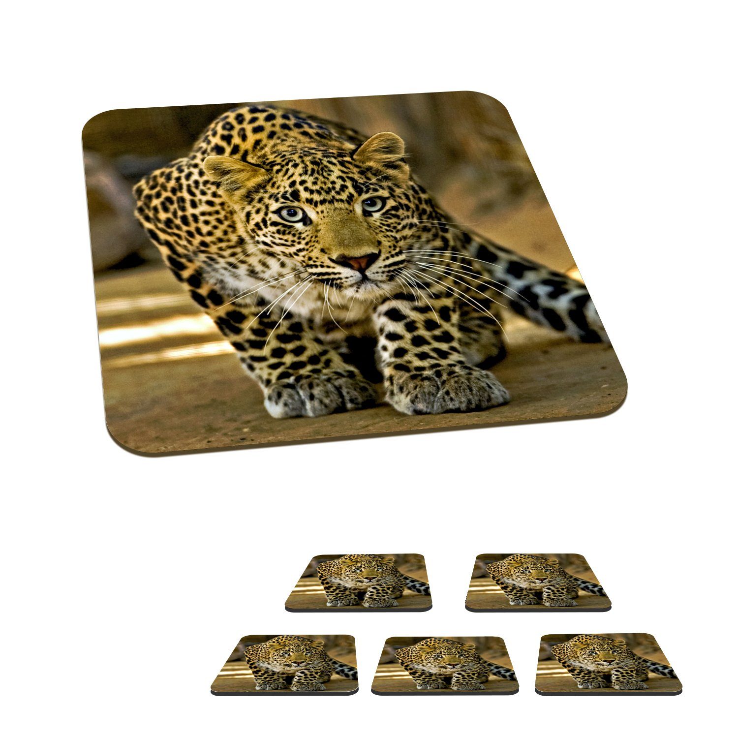 MuchoWow Glasuntersetzer Leopard - Raubtier - Porträt, Zubehör für Gläser, 6-tlg., Glasuntersetzer, Tischuntersetzer, Korkuntersetzer, Untersetzer, Tasse