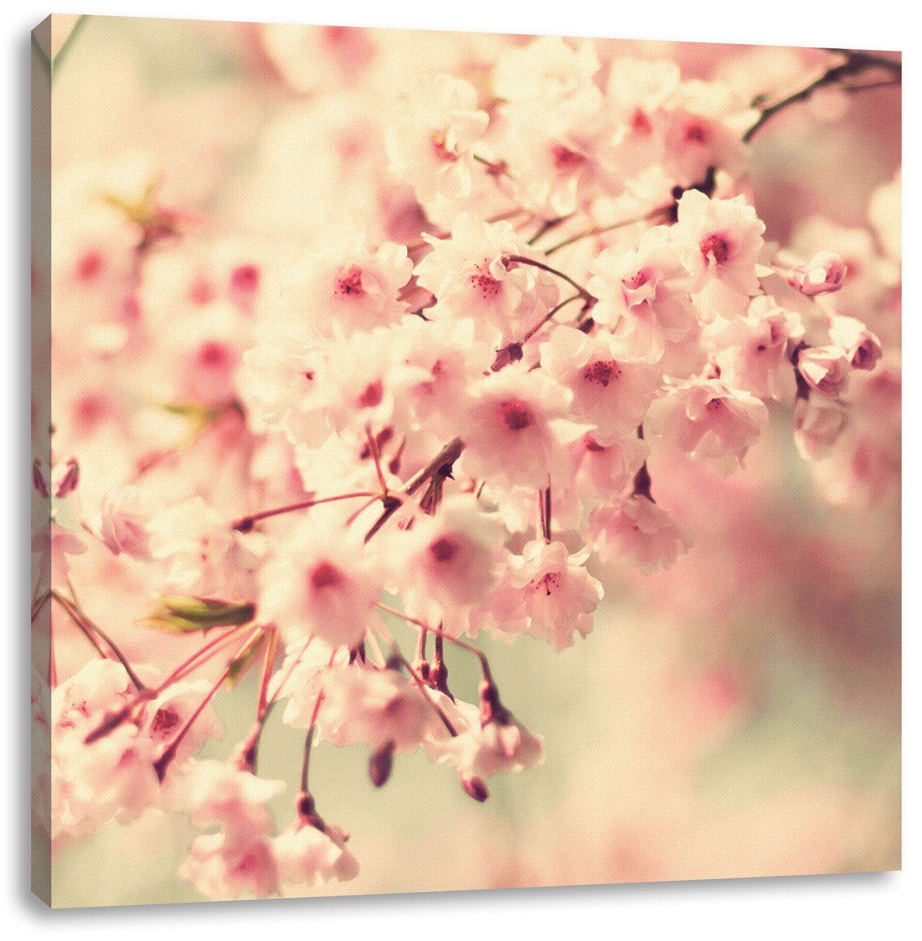 bespannt, Zackenaufhänger (1 Kirschblüten, St), Leinwandbild Kirschblüten inkl. fertig Leinwandbild Pixxprint
