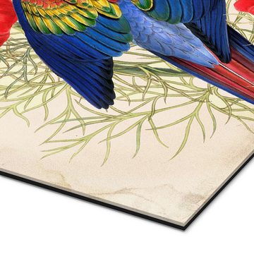 Posterlounge XXL-Wandbild Mandy Reinmuth, Exotische Papageien III, Wohnzimmer Orientalisches Flair Illustration