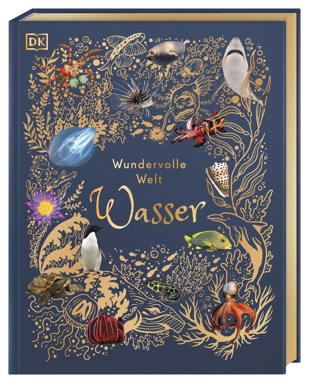 Wundervolle Welt. Wasser / Sam Hume, Ein Natur-Bilderbuch für die ganze Familie. Hochwertig ausgestattet mit Lesebändchen, Goldfolie und Goldschnitt. Für Kinder ab 7 Jahren