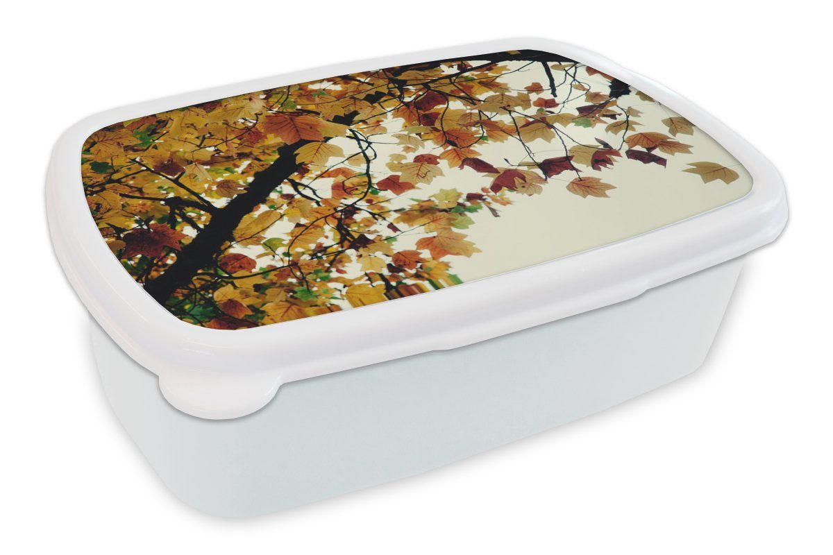 - Natur, - Erwachsene, (2-tlg), für und Herbstblätter MuchoWow Kinder Brotdose, Bäume Jungs und Kunststoff, für weiß Mädchen Brotbox Lunchbox
